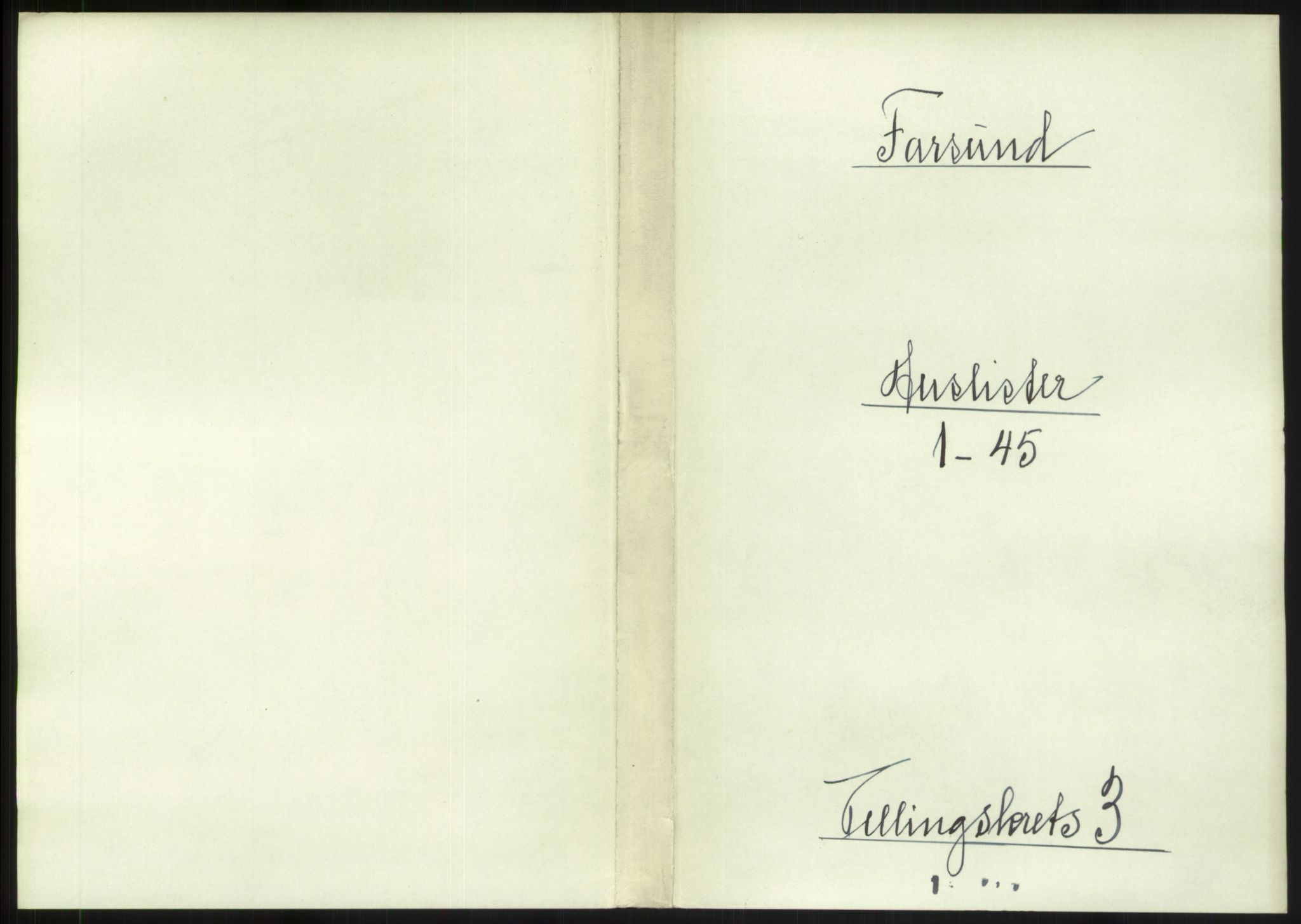 RA, 1891 census for 1003 Farsund, 1891, p. 234