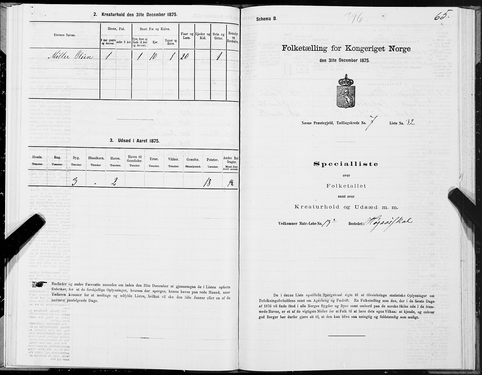 SAT, 1875 census for 1828P Nesna, 1875, p. 6065