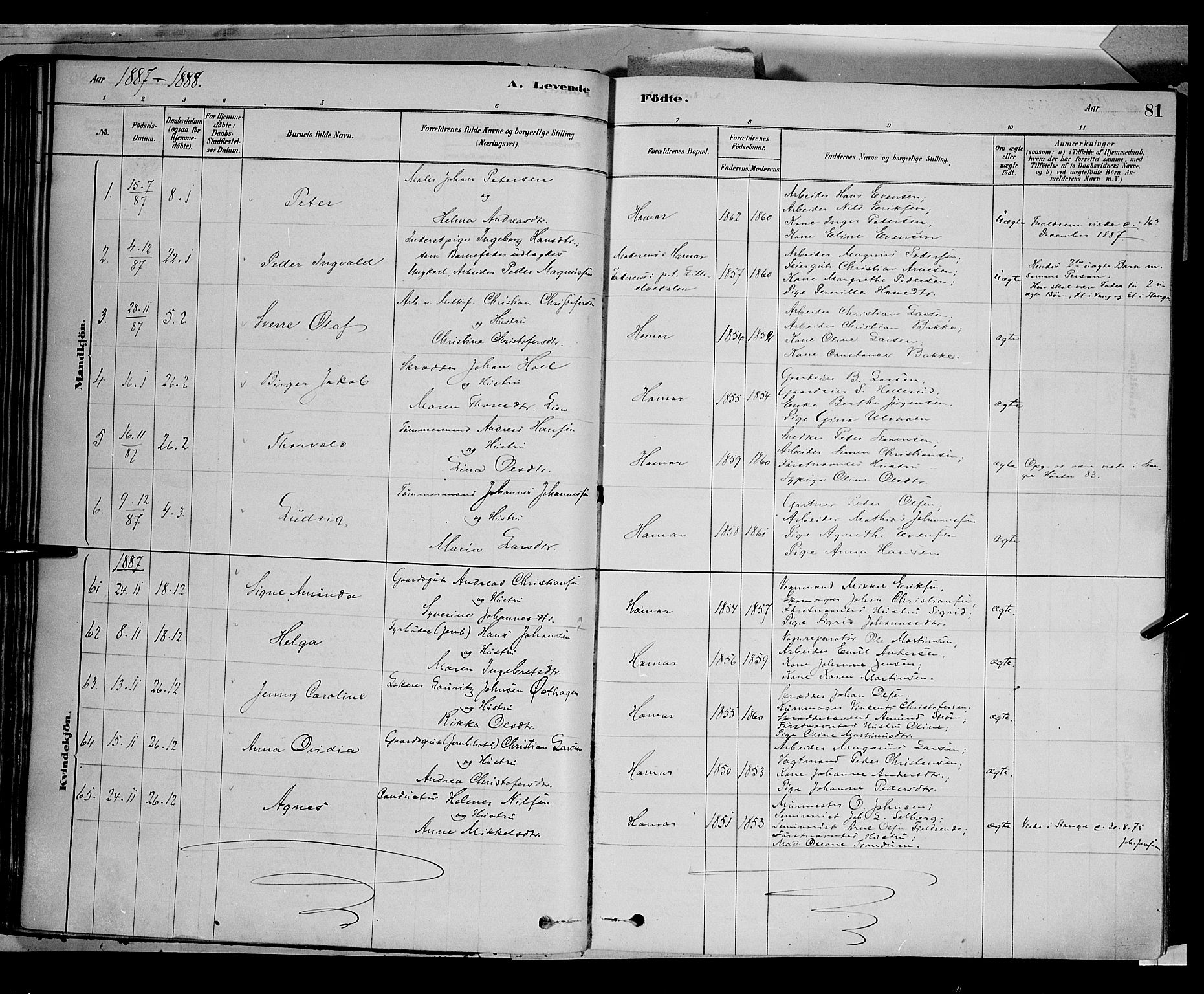 Vang prestekontor, Hedmark, SAH/PREST-008/H/Ha/Haa/L0016: Parish register (official) no. 16, 1878-1889, p. 81