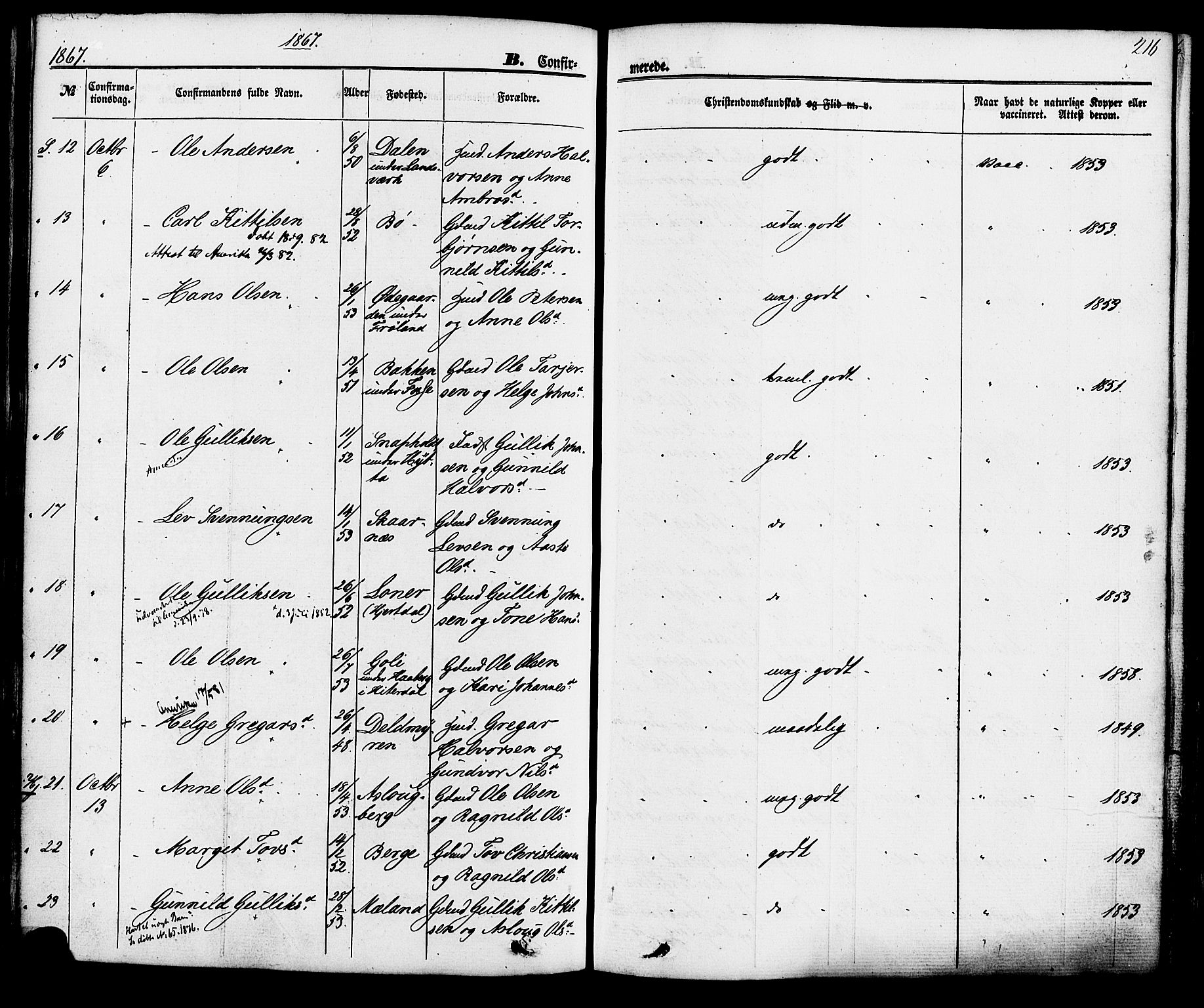 Hjartdal kirkebøker, AV/SAKO-A-270/F/Fa/L0009: Parish register (official) no. I 9, 1860-1879, p. 216