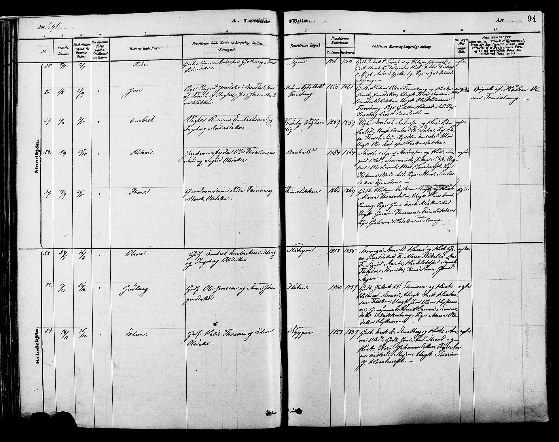 Alvdal prestekontor, AV/SAH-PREST-060/H/Ha/Hab/L0003: Parish register (copy) no. 3, 1878-1907, p. 94