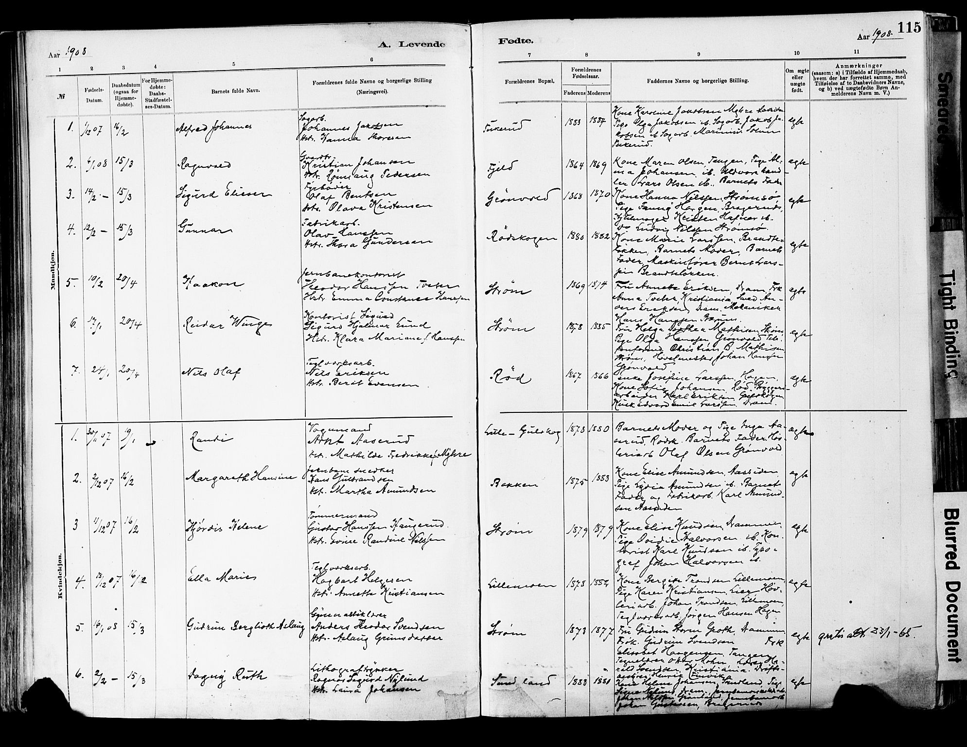 Strømsgodset kirkebøker, AV/SAKO-A-324/F/Fa/L0001: Parish register (official) no. 1, 1885-1909, p. 115