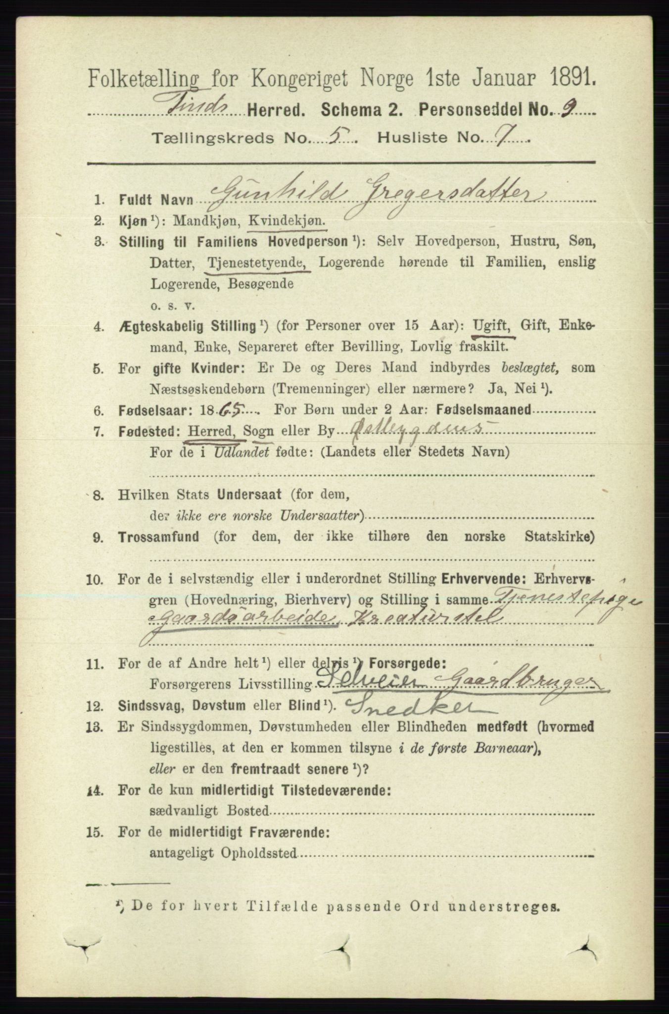 RA, 1891 census for 0826 Tinn, 1891, p. 1046