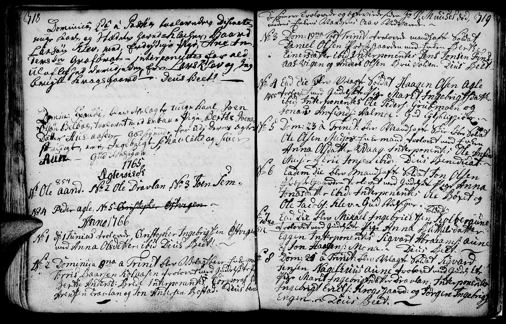 Ministerialprotokoller, klokkerbøker og fødselsregistre - Nord-Trøndelag, SAT/A-1458/749/L0467: Parish register (official) no. 749A01, 1733-1787, p. 318-319