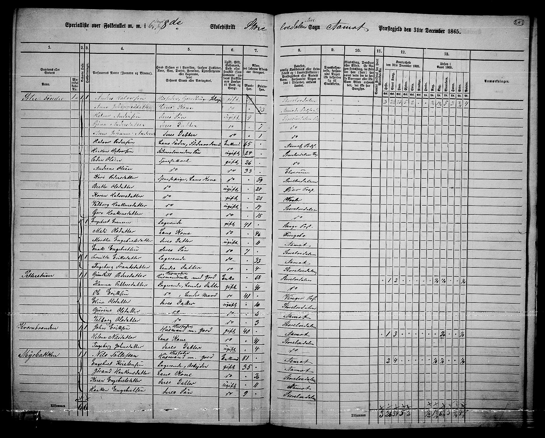 RA, 1865 census for Åmot, 1865, p. 211