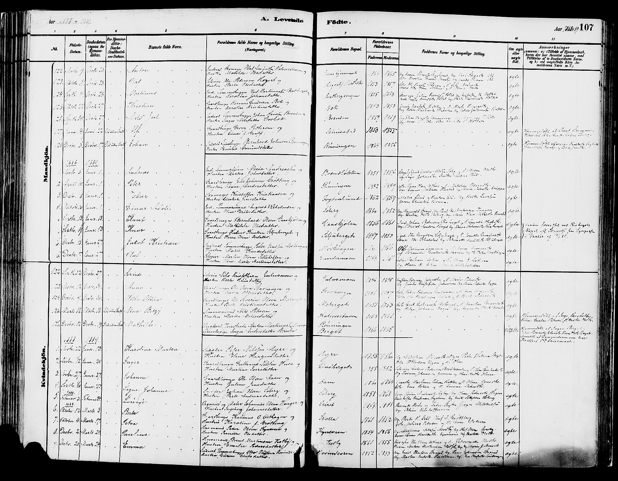 Elverum prestekontor, AV/SAH-PREST-044/H/Ha/Haa/L0013: Parish register (official) no. 13, 1880-1890, p. 107