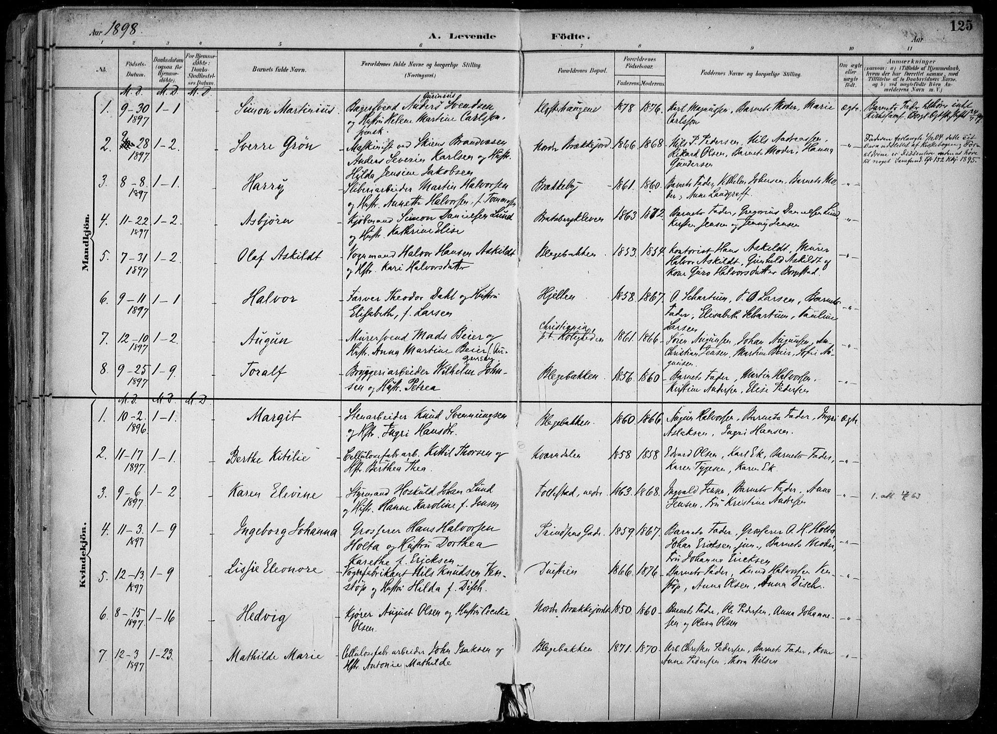 Skien kirkebøker, SAKO/A-302/F/Fa/L0010: Parish register (official) no. 10, 1891-1899, p. 125