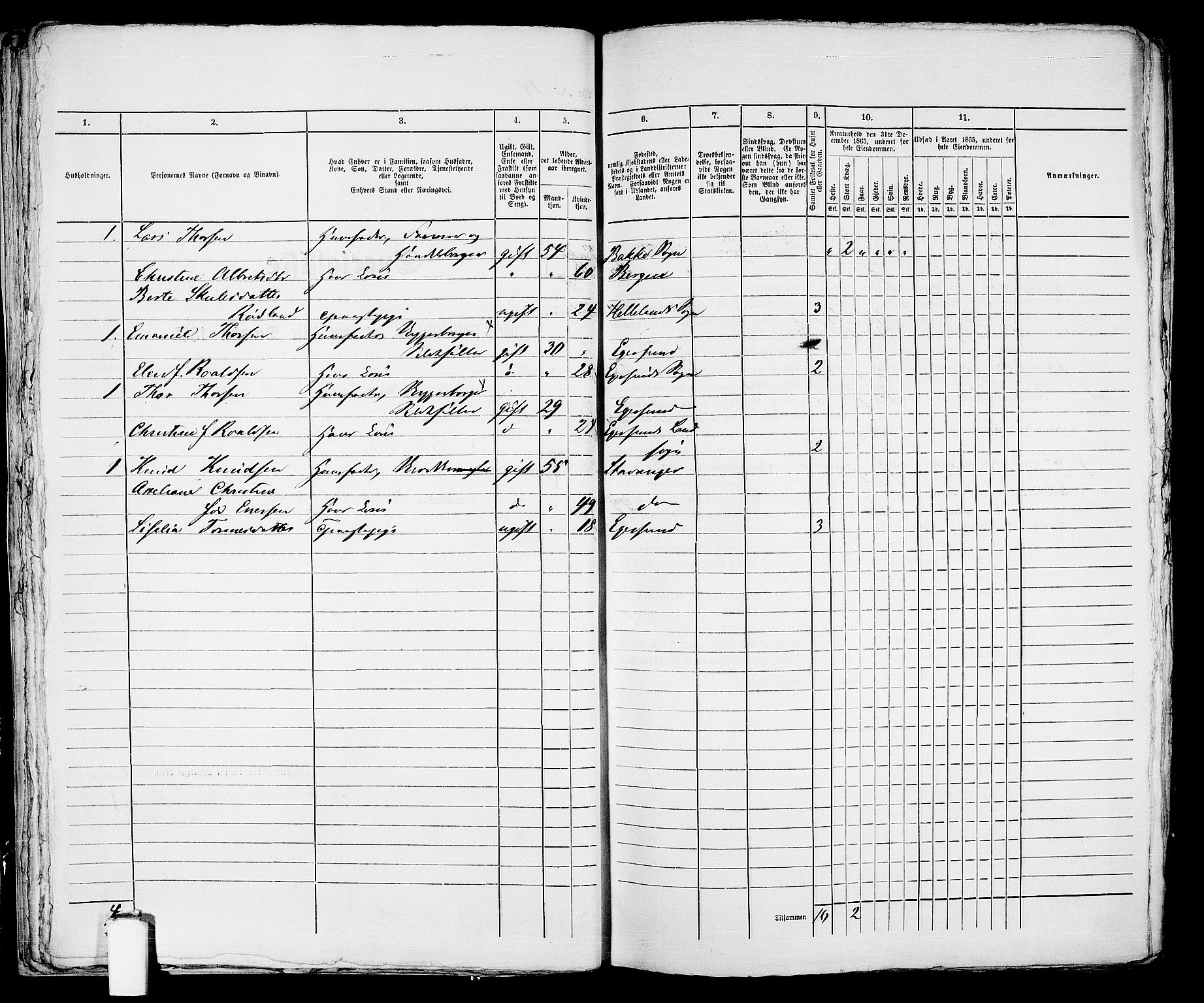 RA, 1865 census for Eigersund parish, Egersund town, 1865, p. 37
