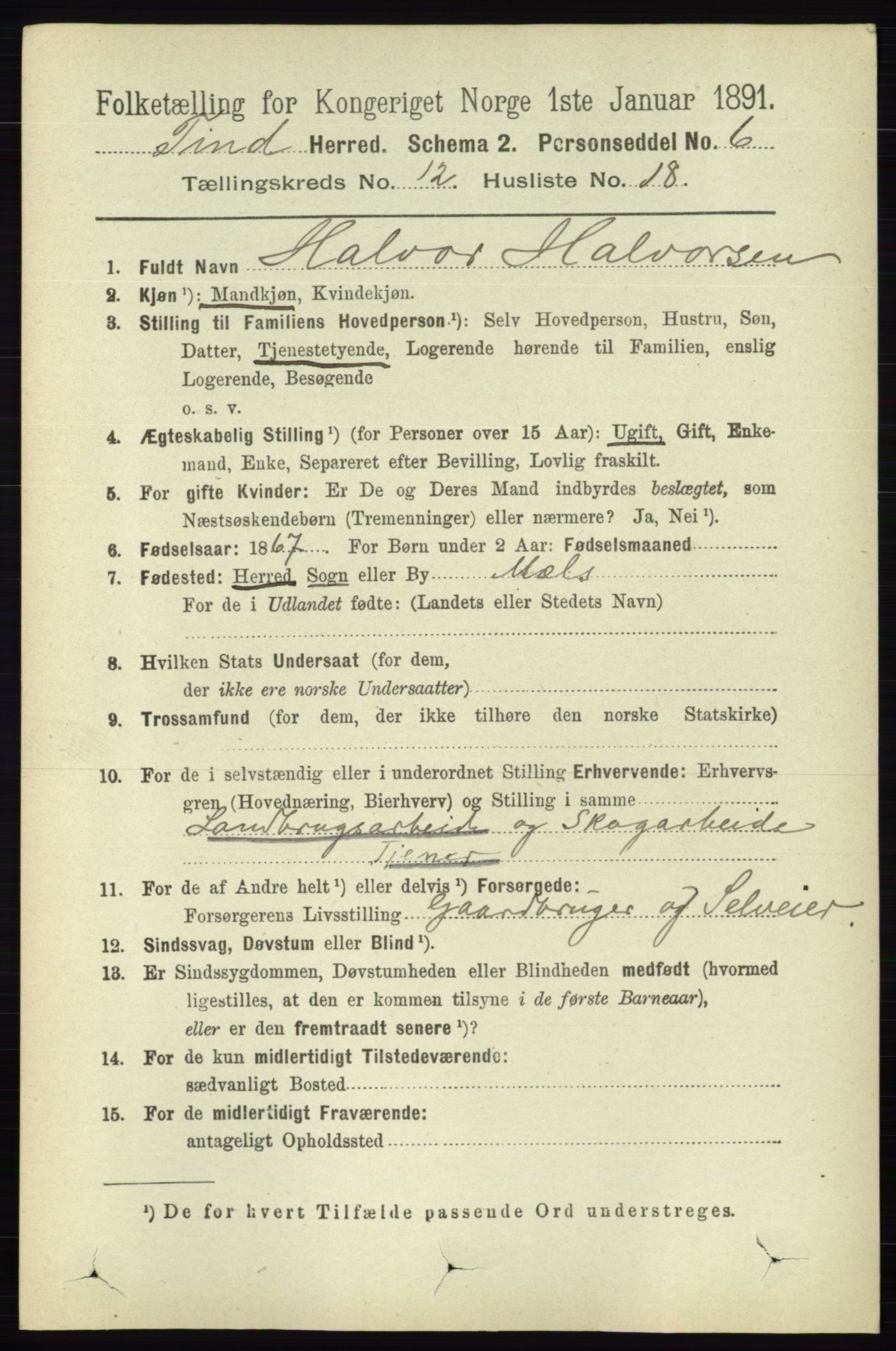 RA, 1891 census for 0826 Tinn, 1891, p. 2407