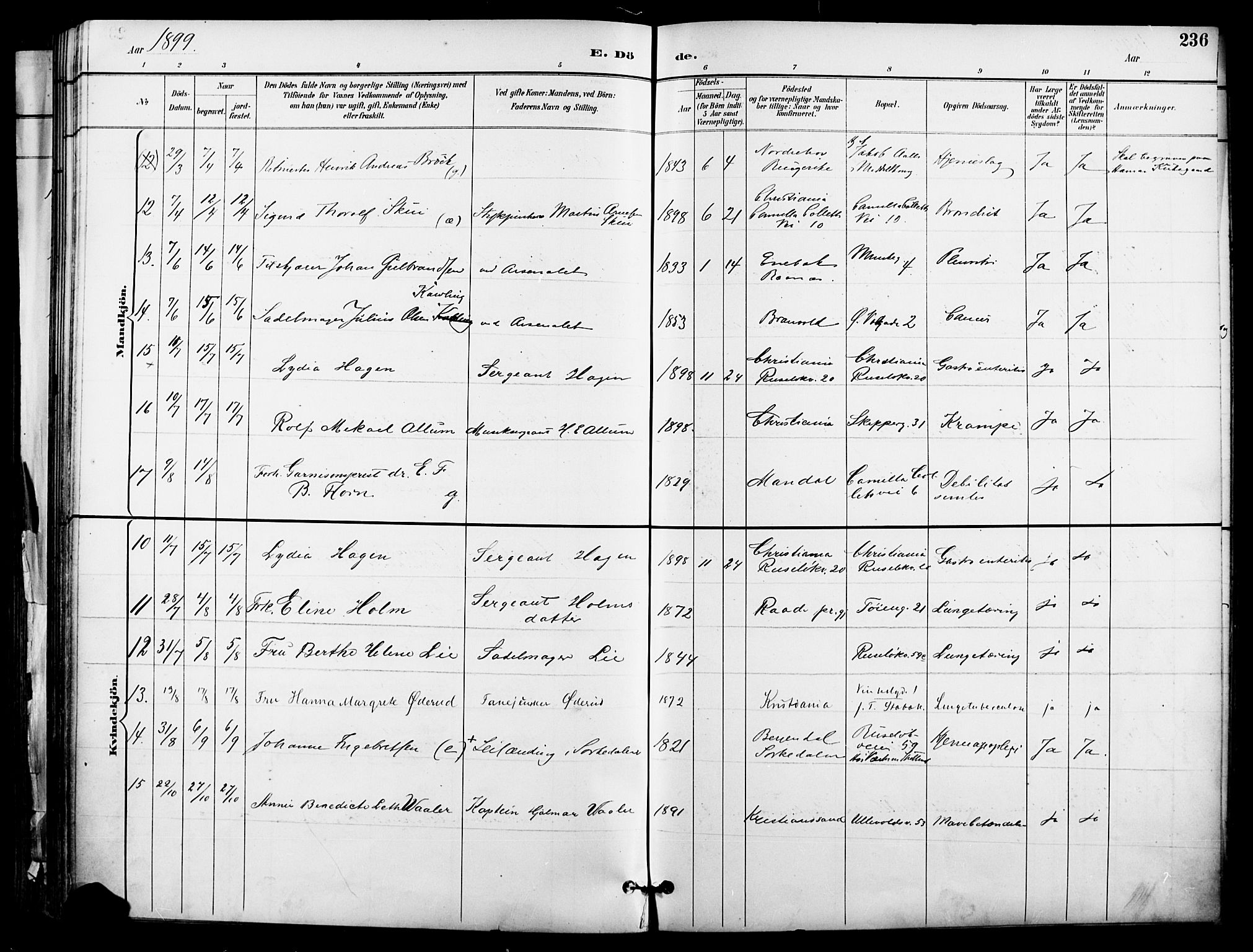 Garnisonsmenigheten Kirkebøker, AV/SAO-A-10846/F/Fa/L0013: Parish register (official) no. 13, 1894-1904, p. 236