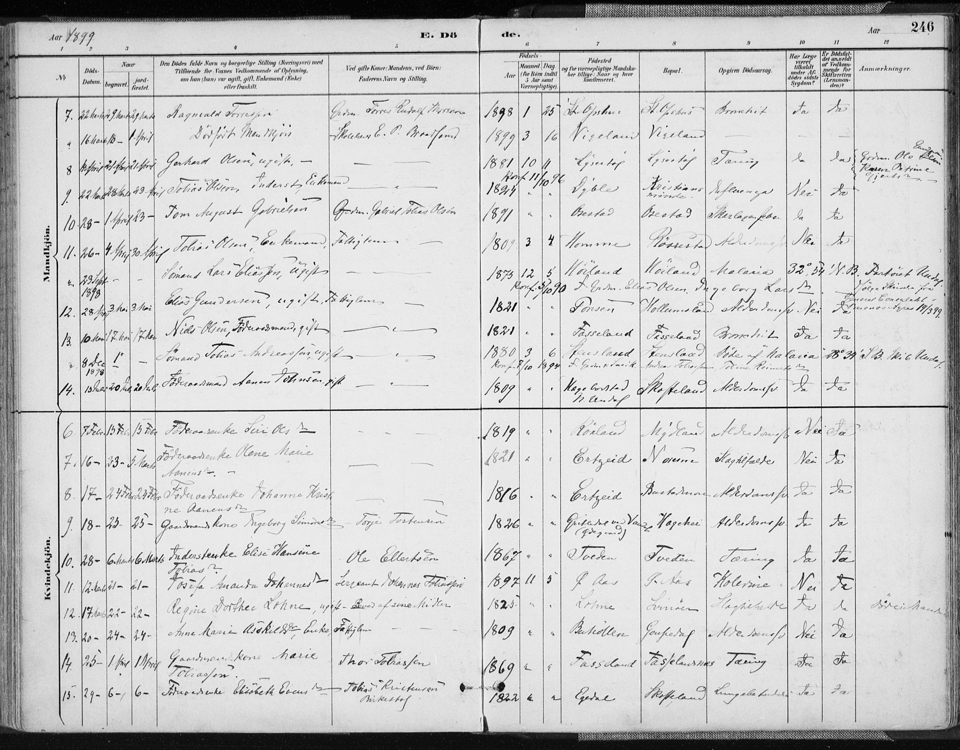 Sør-Audnedal sokneprestkontor, AV/SAK-1111-0039/F/Fa/Fab/L0010: Parish register (official) no. A 10, 1892-1913, p. 246