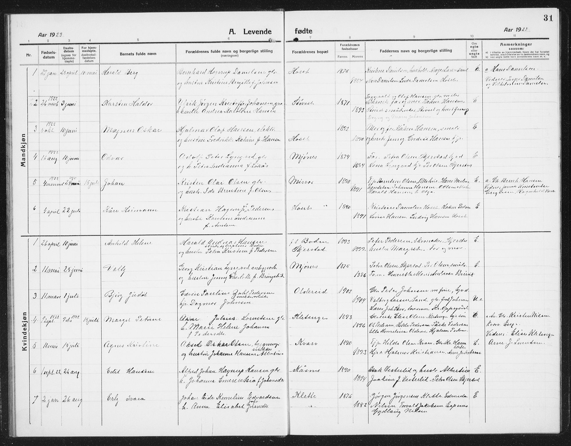 Ministerialprotokoller, klokkerbøker og fødselsregistre - Nordland, AV/SAT-A-1459/852/L0757: Parish register (copy) no. 852C08, 1916-1934, p. 31