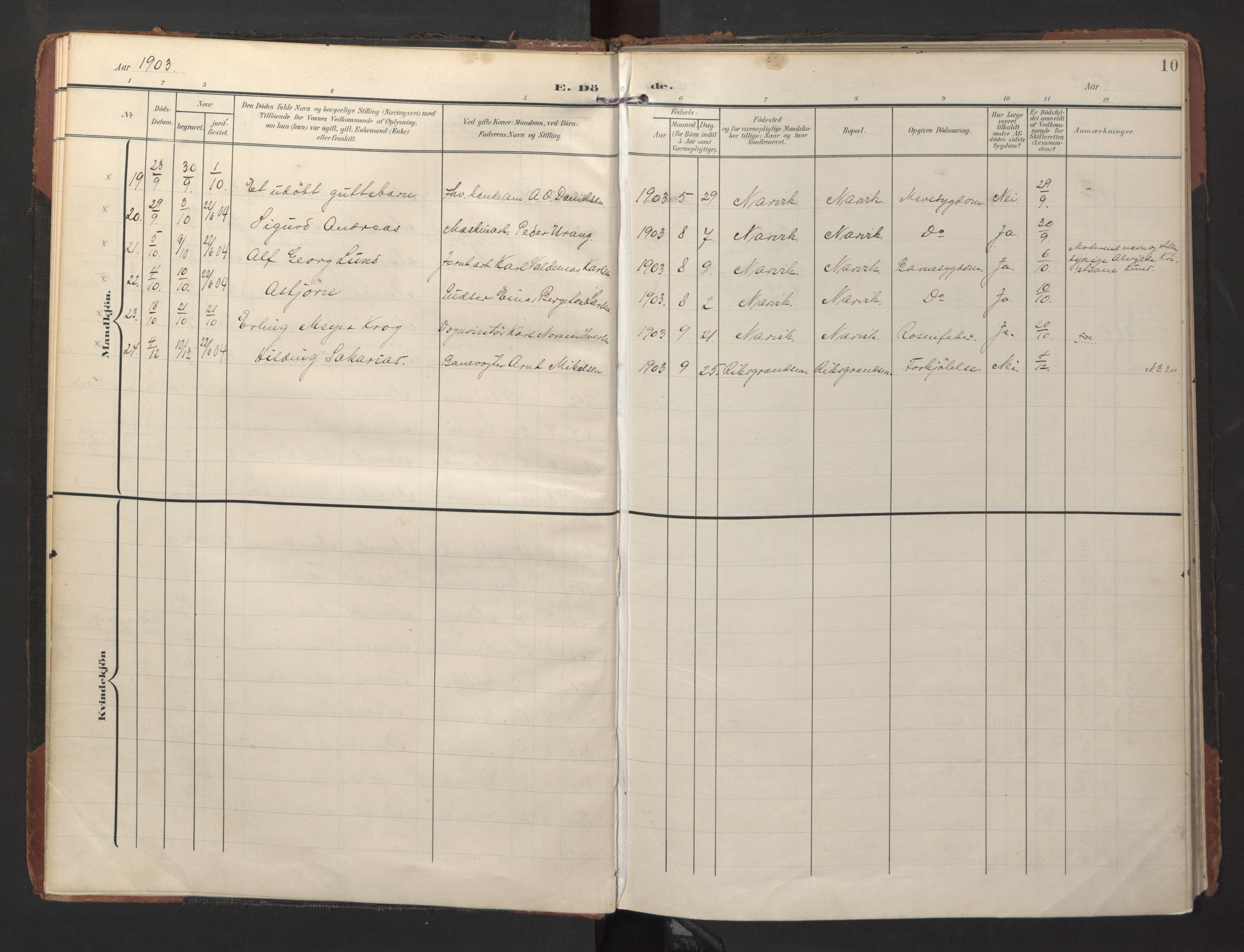 Ministerialprotokoller, klokkerbøker og fødselsregistre - Nordland, AV/SAT-A-1459/871/L1000: Parish register (official) no. 871A16, 1902-1925, p. 10