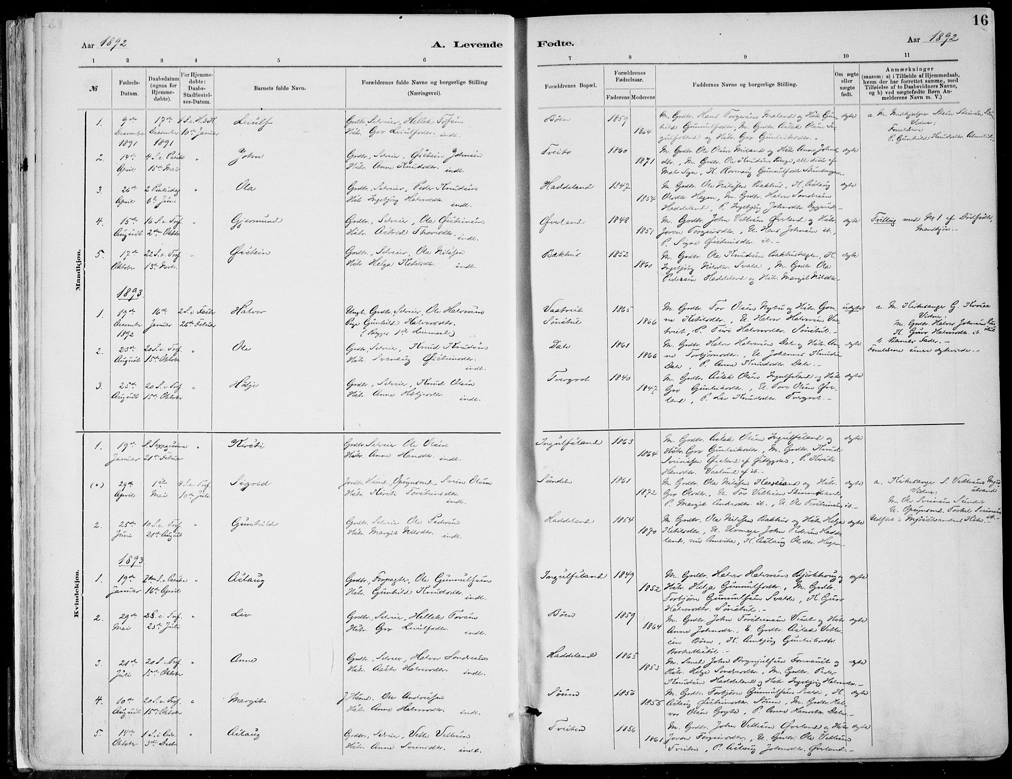 Rjukan kirkebøker, SAKO/A-294/F/Fa/L0001: Parish register (official) no. 1, 1878-1912, p. 16