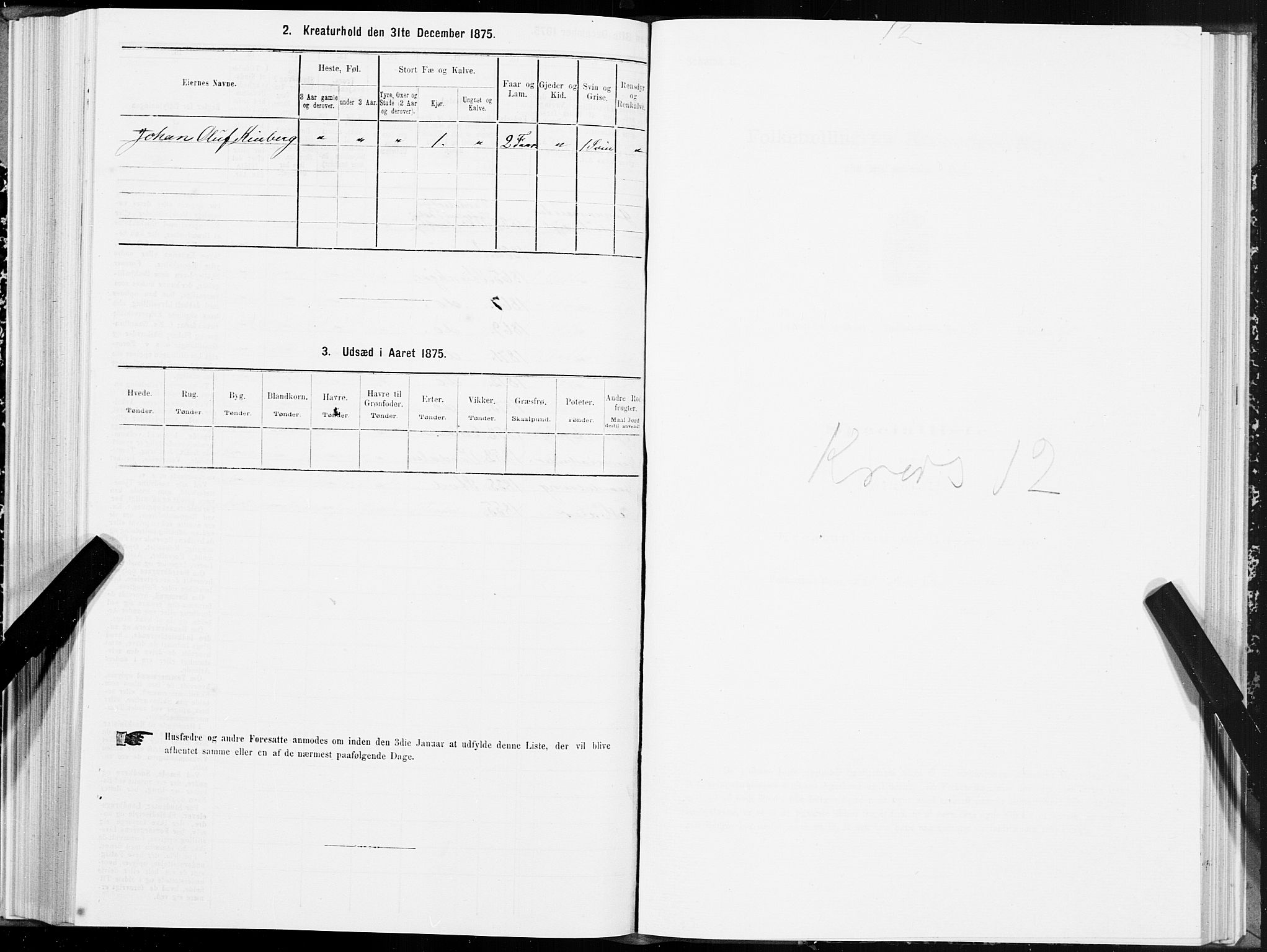 SAT, 1875 census for 1702B Steinkjer/Steinkjer, 1875