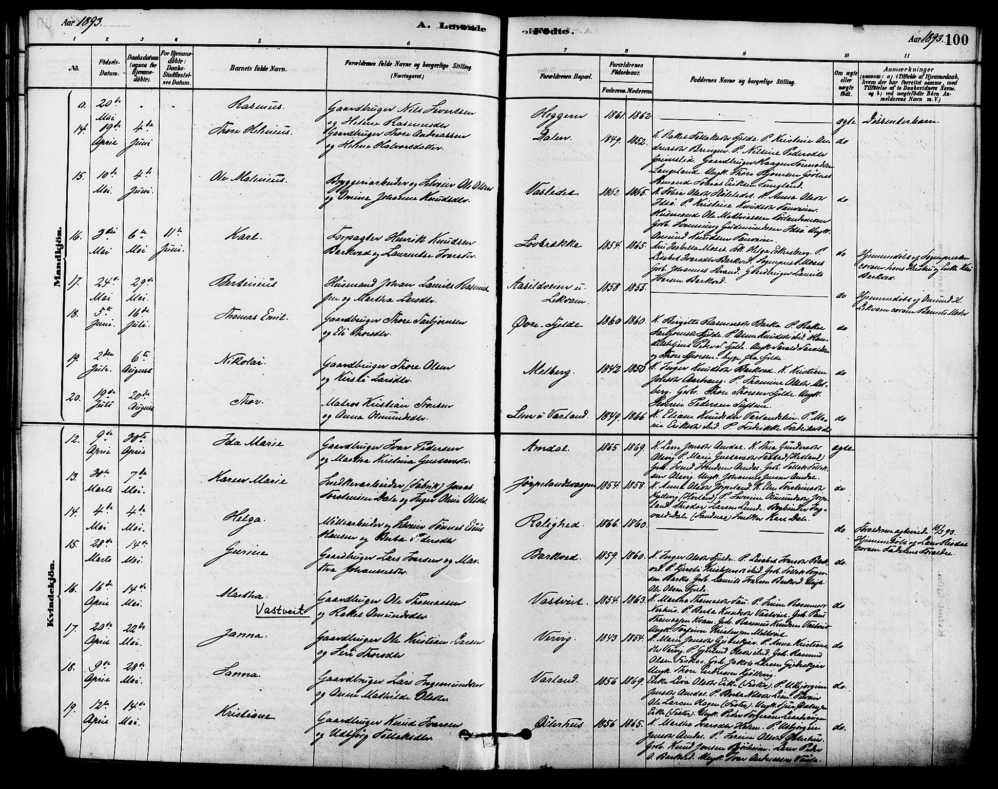 Strand sokneprestkontor, SAST/A-101828/H/Ha/Haa/L0009: Parish register (official) no. A 9, 1877-1908, p. 100
