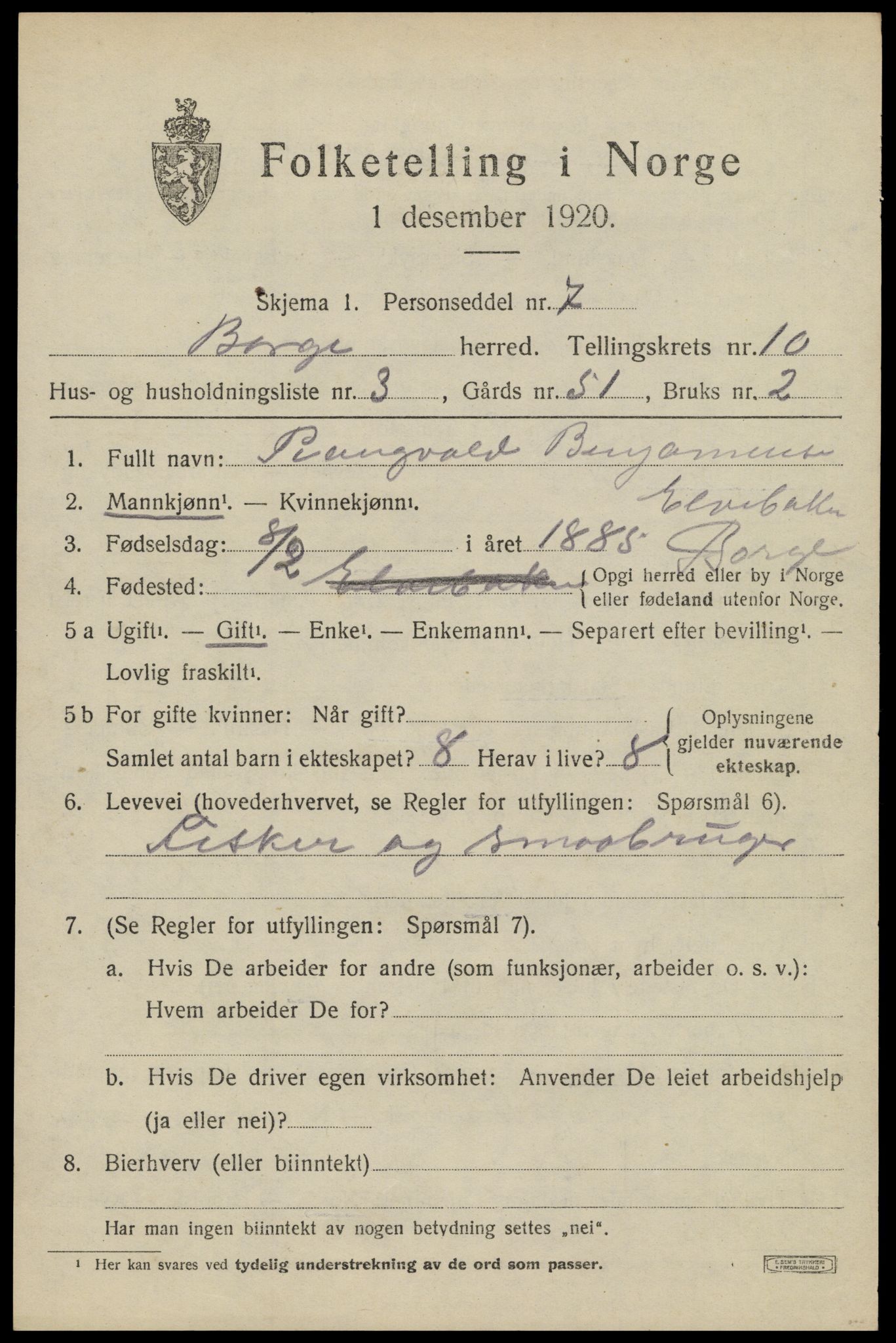 SAT, 1920 census for Borge, 1920, p. 8713