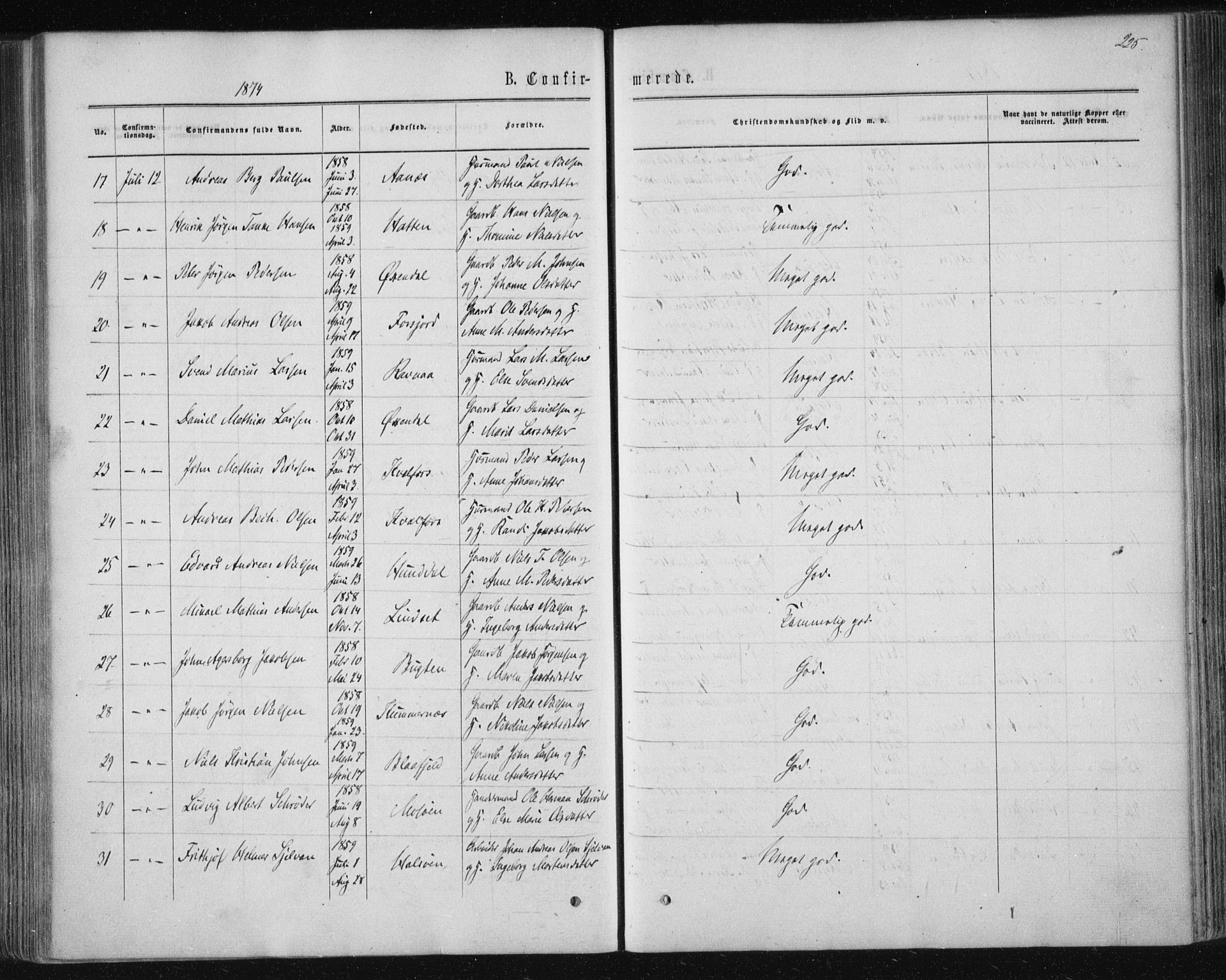 Ministerialprotokoller, klokkerbøker og fødselsregistre - Nordland, AV/SAT-A-1459/820/L0294: Parish register (official) no. 820A15, 1866-1879, p. 225