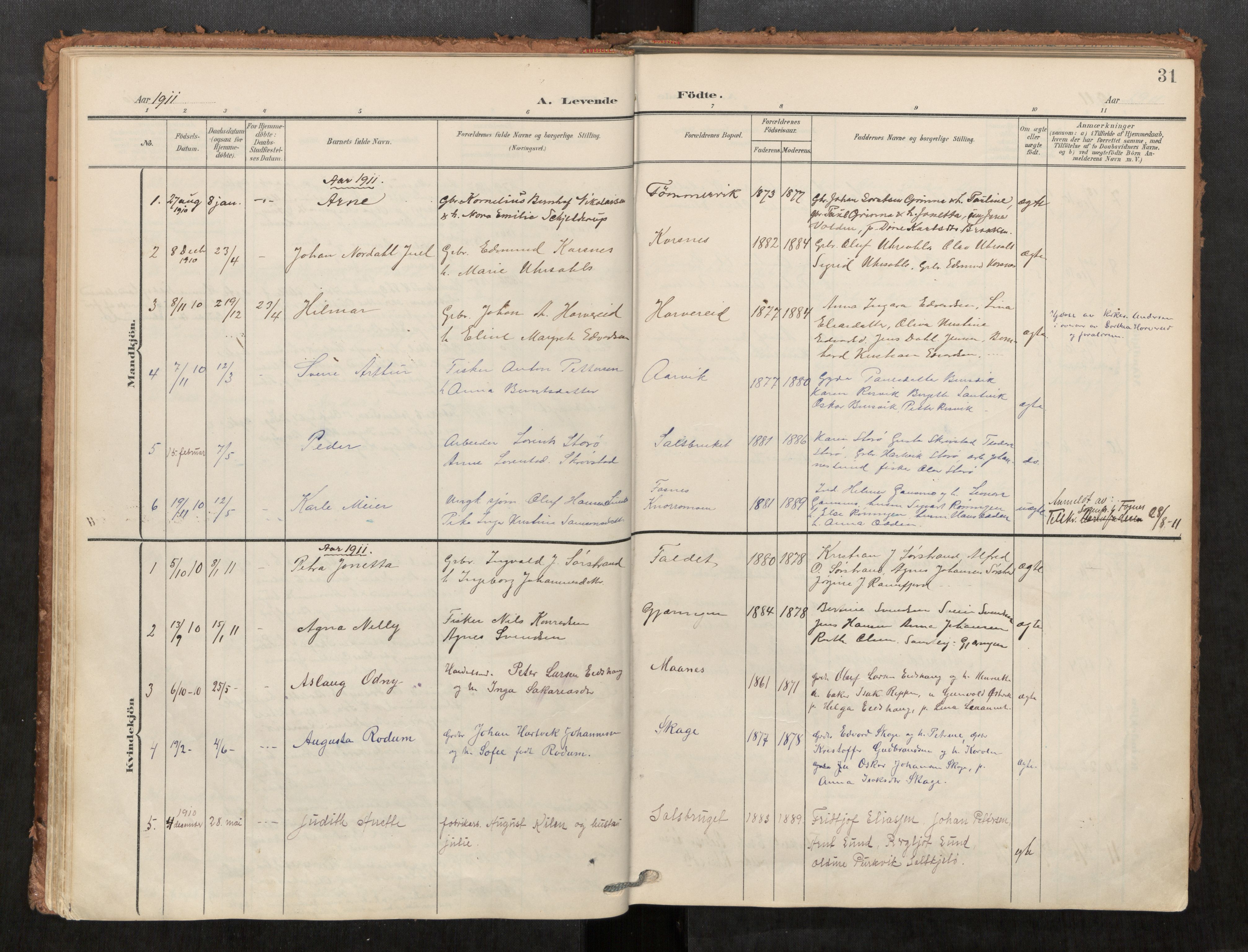 Kolvereid sokneprestkontor, SAT/A-1171/H/Ha/Haa/L0001: Parish register (official) no. 1, 1903-1922, p. 31