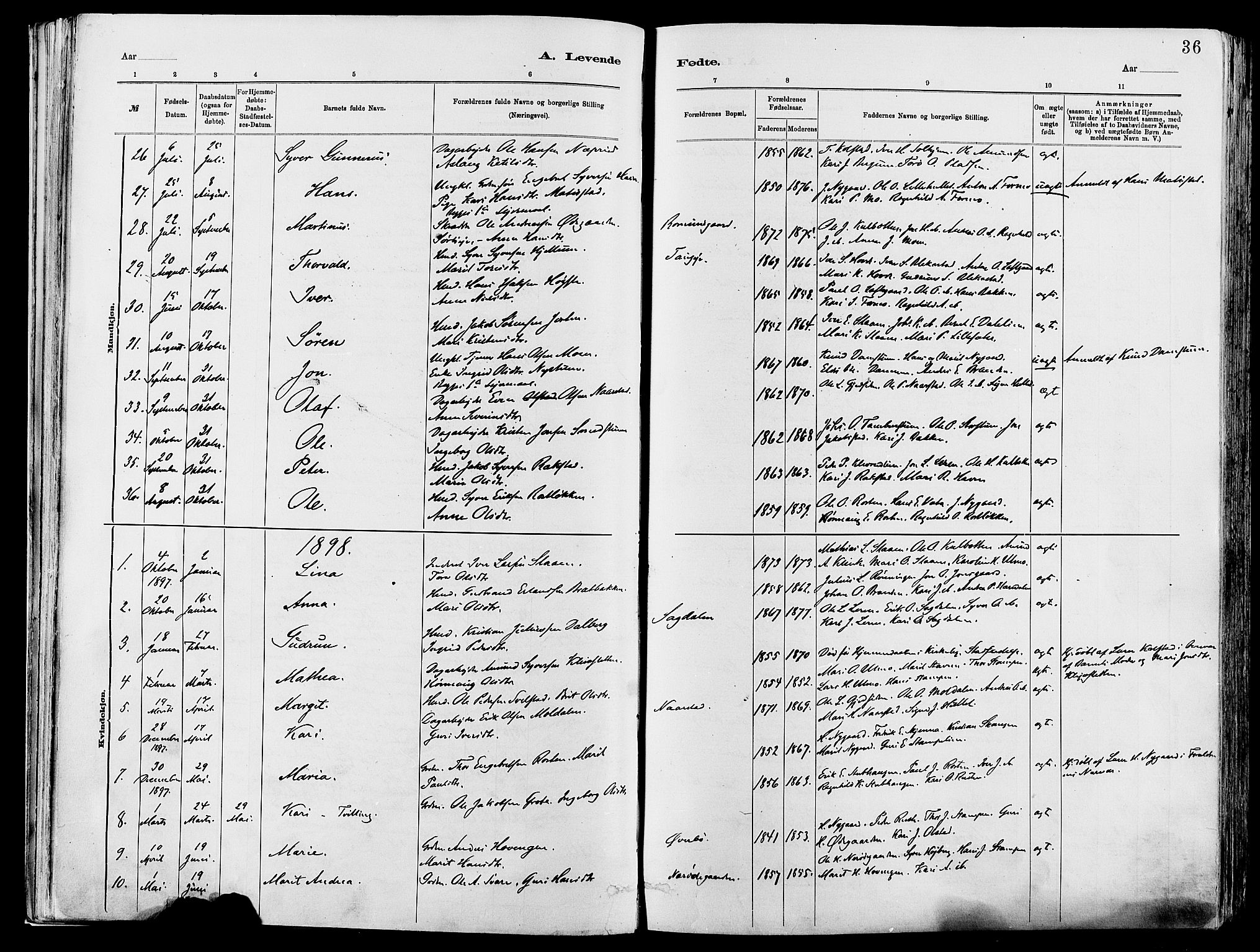 Vågå prestekontor, AV/SAH-PREST-076/H/Ha/Haa/L0008: Parish register (official) no. 8, 1886-1904, p. 36