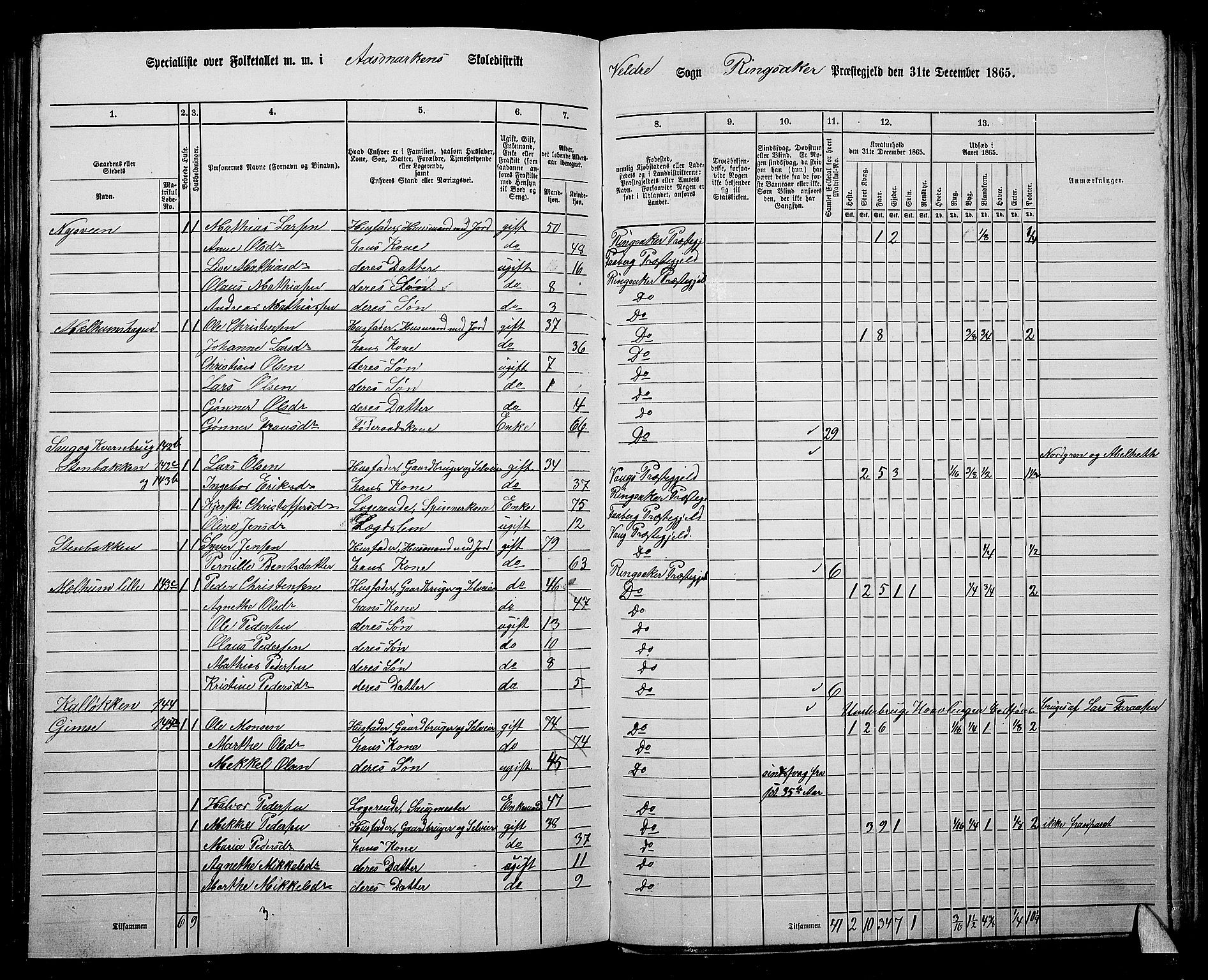 RA, 1865 census for Ringsaker, 1865, p. 210