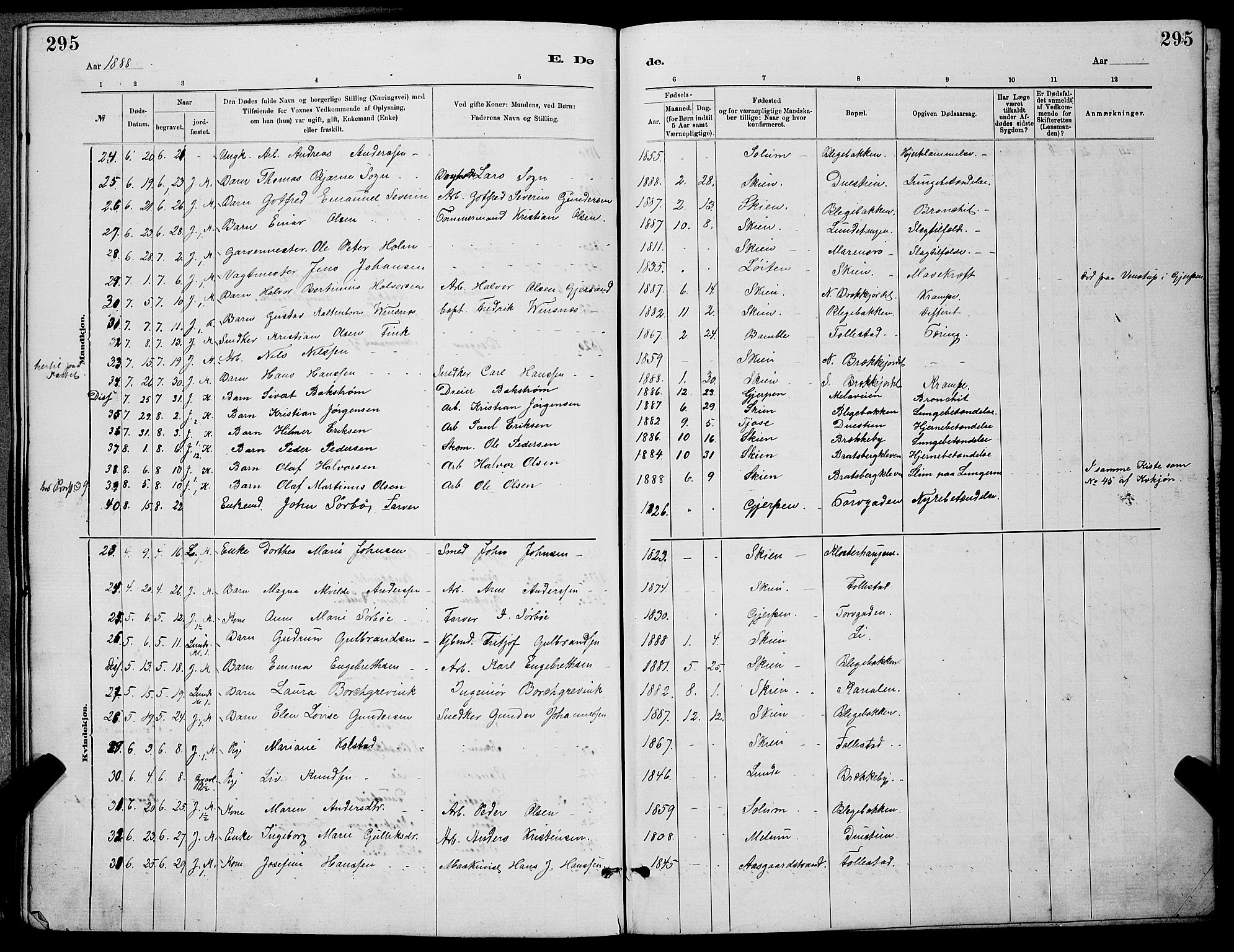 Skien kirkebøker, AV/SAKO-A-302/G/Ga/L0006: Parish register (copy) no. 6, 1881-1890, p. 295