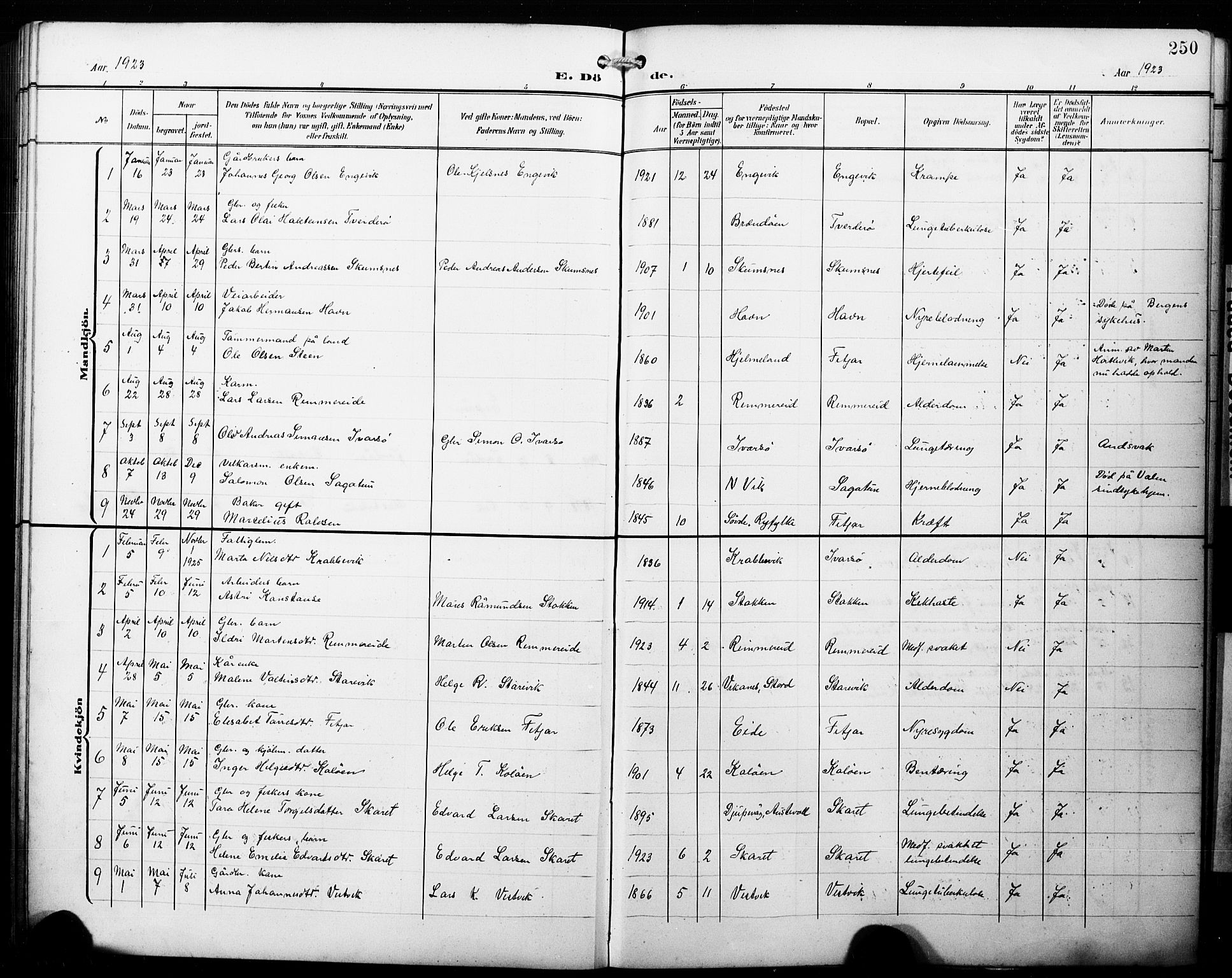 Fitjar sokneprestembete, SAB/A-99926: Parish register (copy) no. B 1, 1906-1928, p. 250