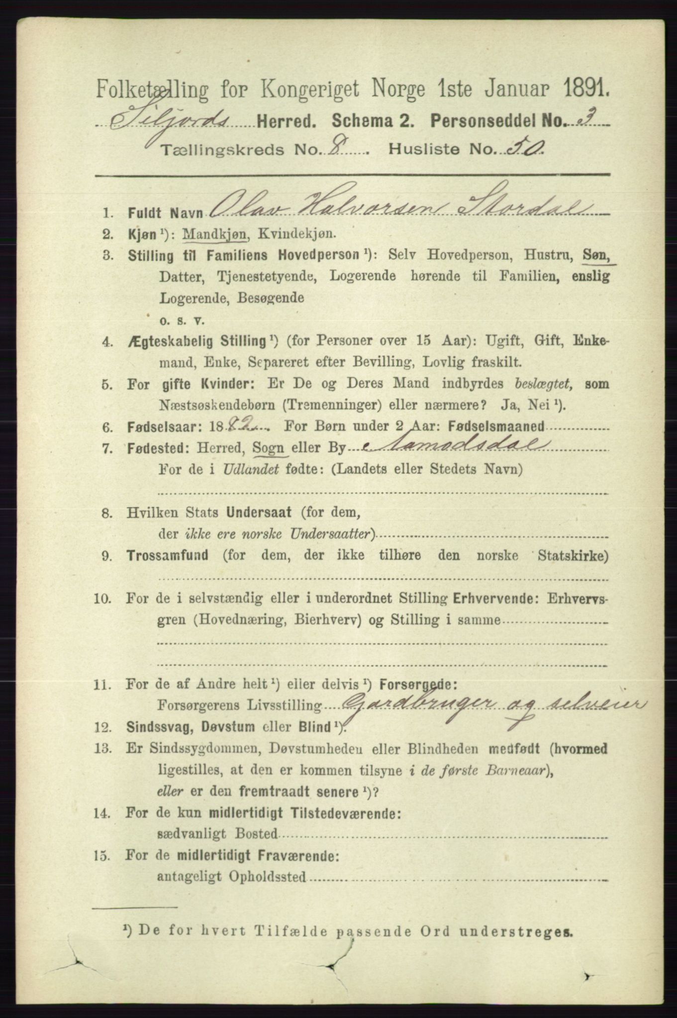 RA, 1891 census for 0828 Seljord, 1891, p. 3119