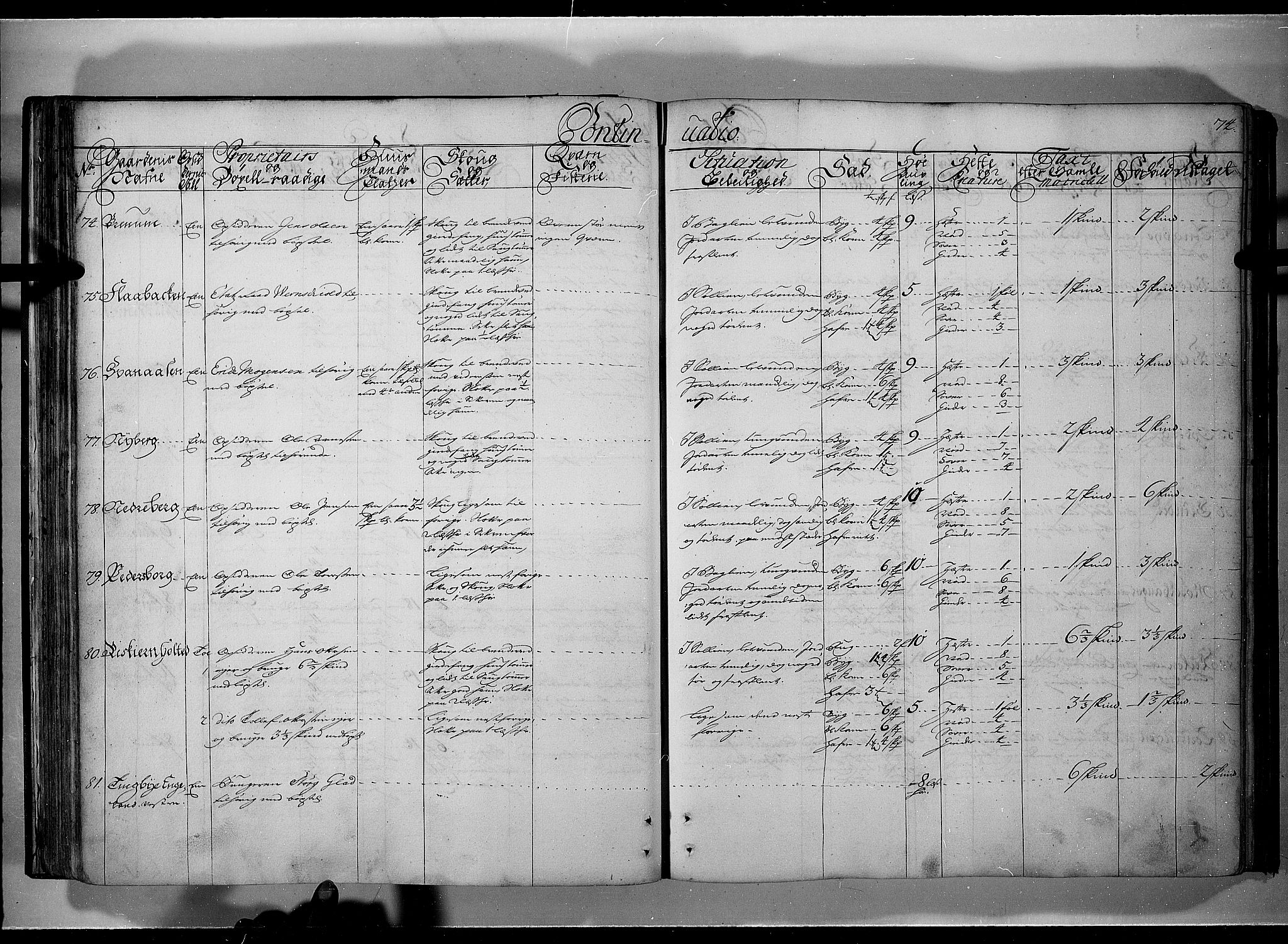 Rentekammeret inntil 1814, Realistisk ordnet avdeling, AV/RA-EA-4070/N/Nb/Nbf/L0101: Solør, Østerdalen og Odal eksaminasjonsprotokoll, 1723, p. 73b-74a