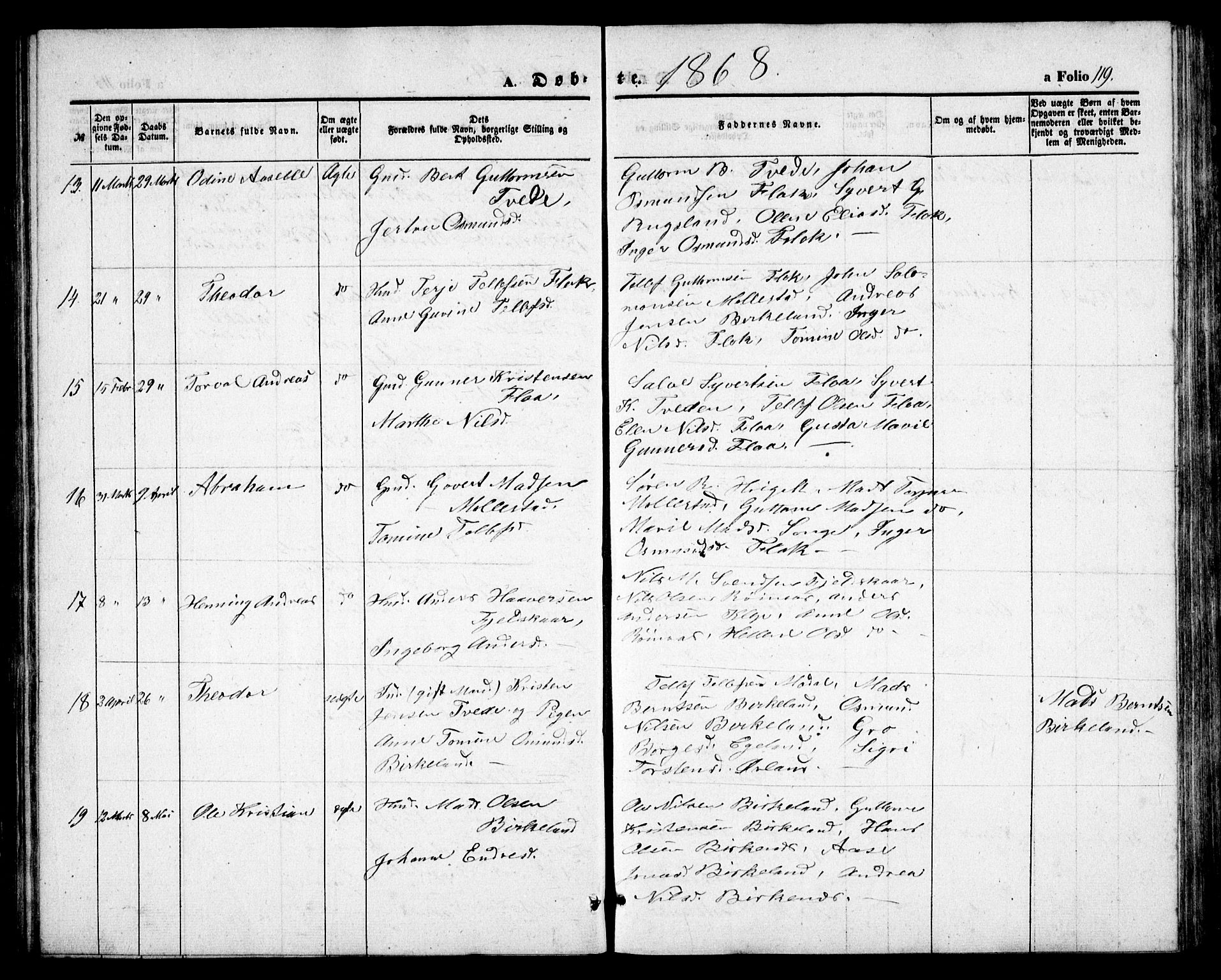 Birkenes sokneprestkontor, AV/SAK-1111-0004/F/Fb/L0002: Parish register (copy) no. B 2, 1849-1876, p. 119