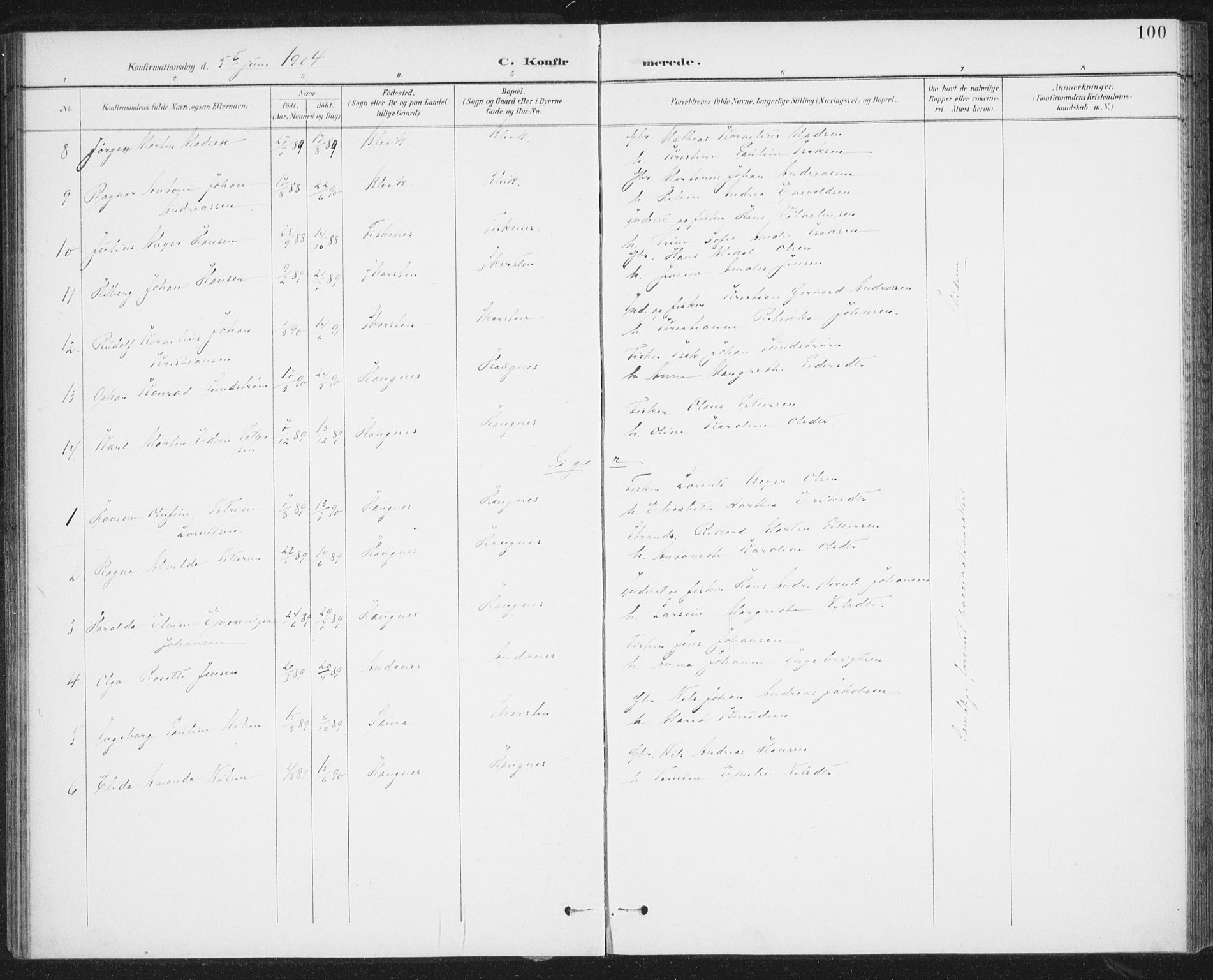 Ministerialprotokoller, klokkerbøker og fødselsregistre - Nordland, AV/SAT-A-1459/899/L1437: Parish register (official) no. 899A05, 1897-1908, p. 100