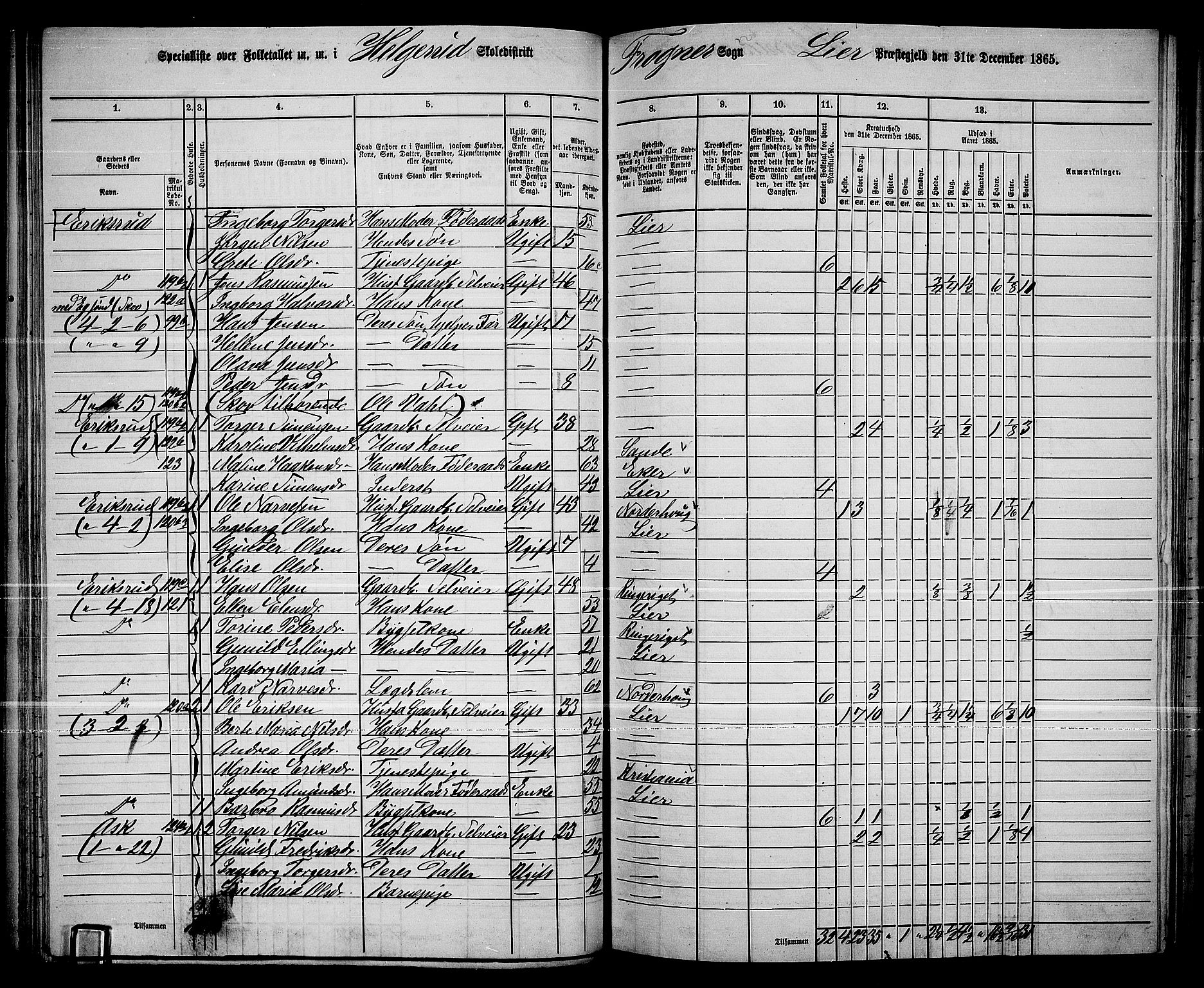 RA, 1865 census for Lier, 1865, p. 74