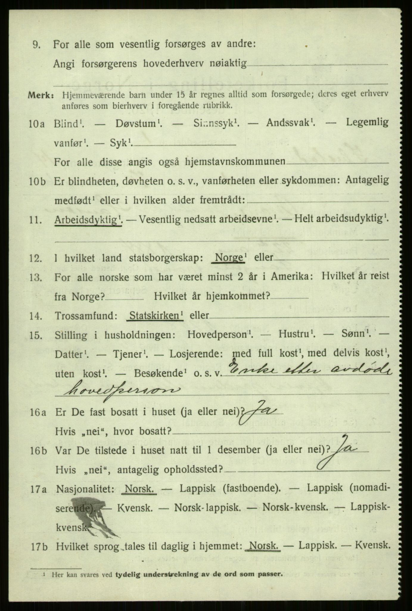 SATØ, 1920 census for Ibestad, 1920, p. 6994