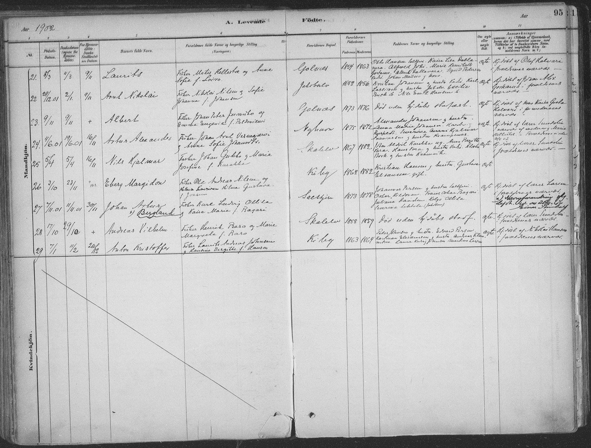 Vadsø sokneprestkontor, AV/SATØ-S-1325/H/Ha/L0009kirke: Parish register (official) no. 9, 1881-1917, p. 95