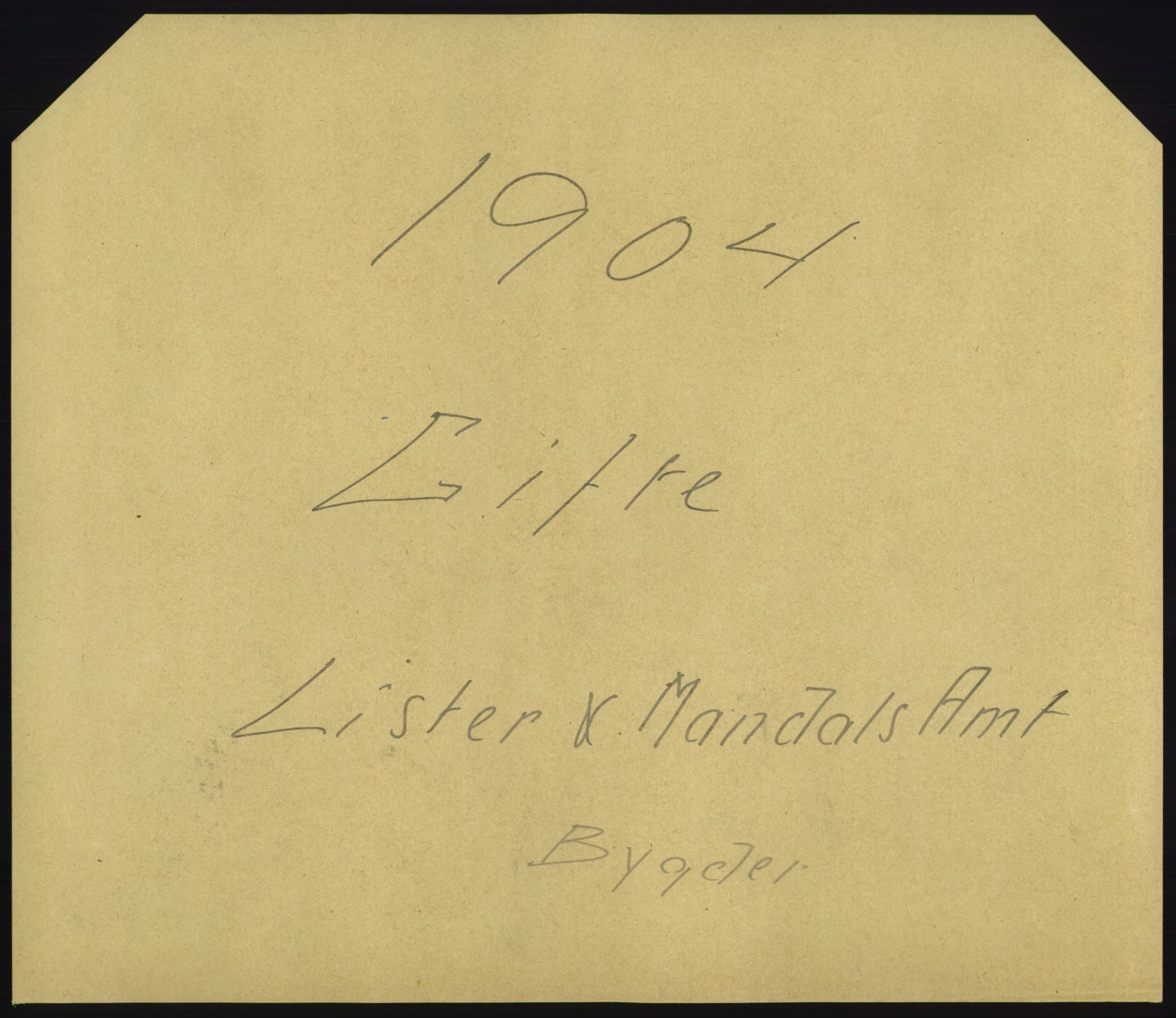 Statistisk sentralbyrå, Sosiodemografiske emner, Befolkning, AV/RA-S-2228/D/Df/Dfa/Dfab/L0011: Lister og Mandals amt: Fødte, gifte, døde, 1904, p. 401