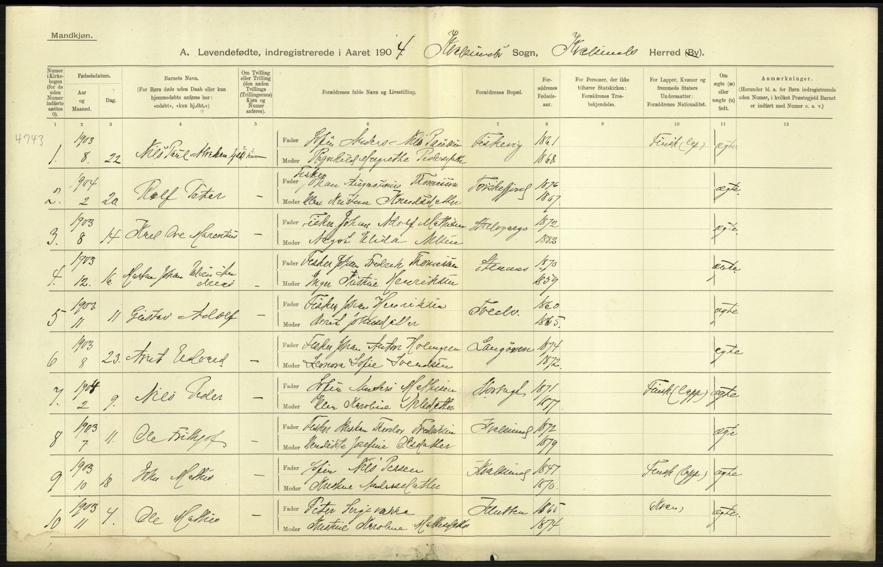 Statistisk sentralbyrå, Sosiodemografiske emner, Befolkning, AV/RA-S-2228/D/Df/Dfa/Dfab/L0023: Finnmarkens amt: Fødte, gifte, døde, 1904, p. 13