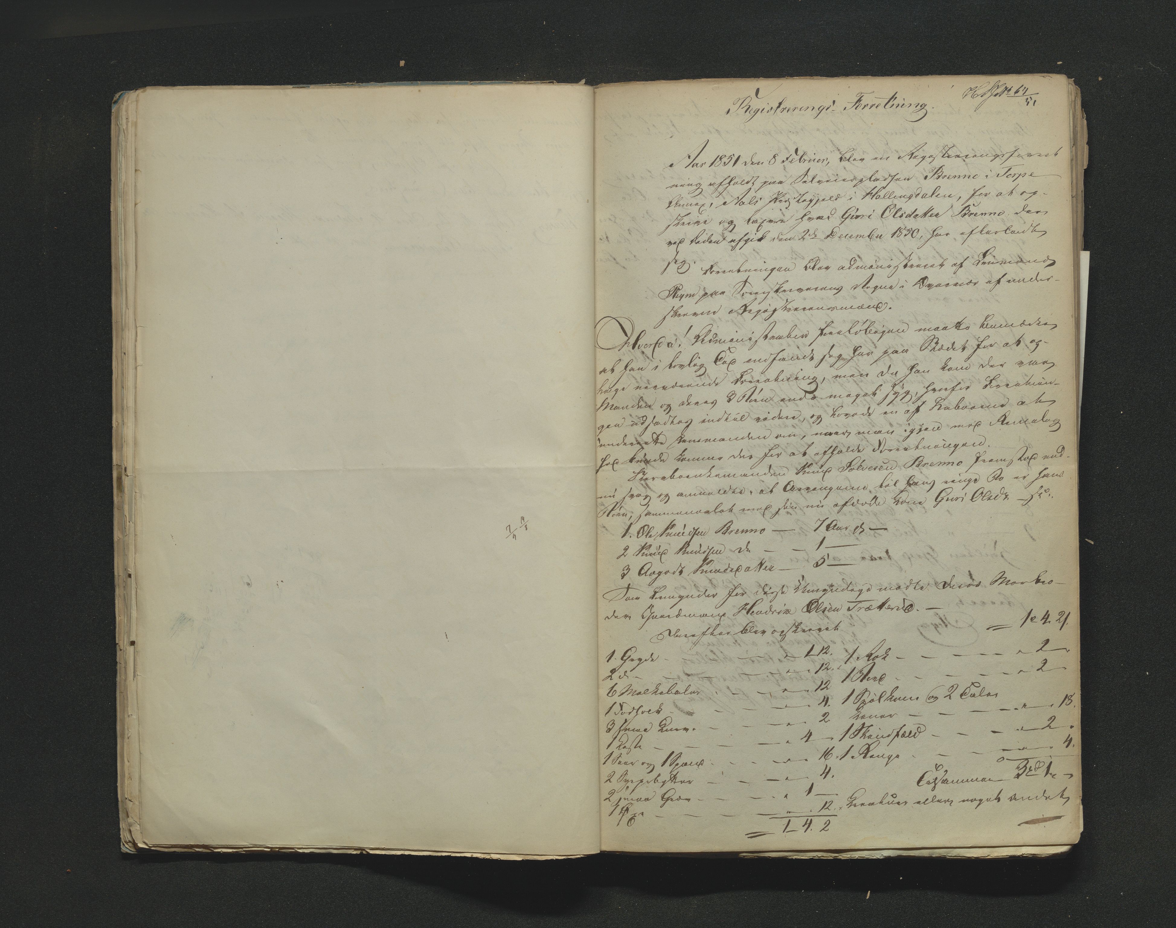 Hallingdal sorenskriveri, AV/SAKO-A-121/H/Hb/Hbb/Hbba/L0023: Skifteregistreringsprotokoll, Sorenskriveriet, 1851