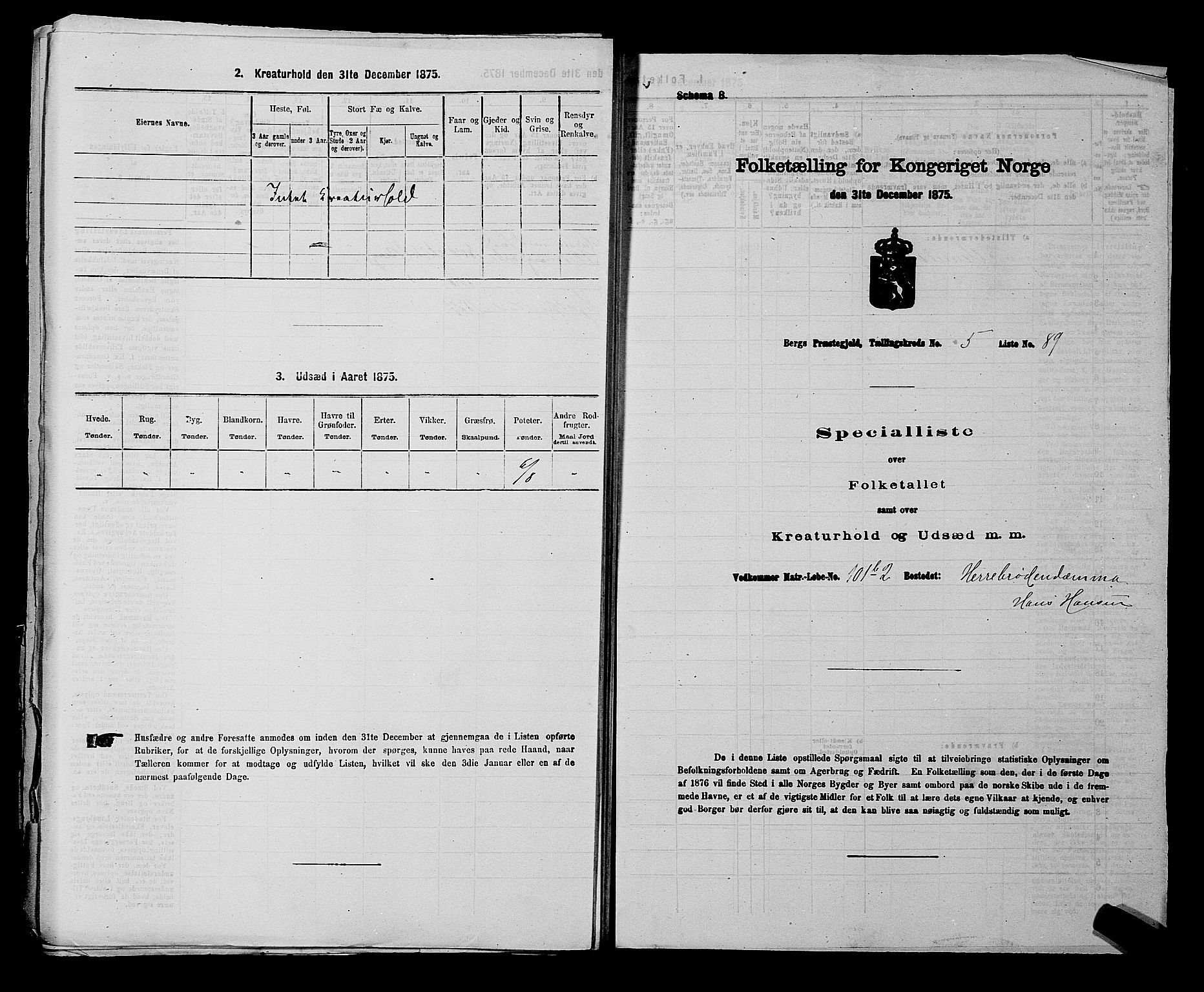 RA, 1875 census for 0116P Berg, 1875, p. 868