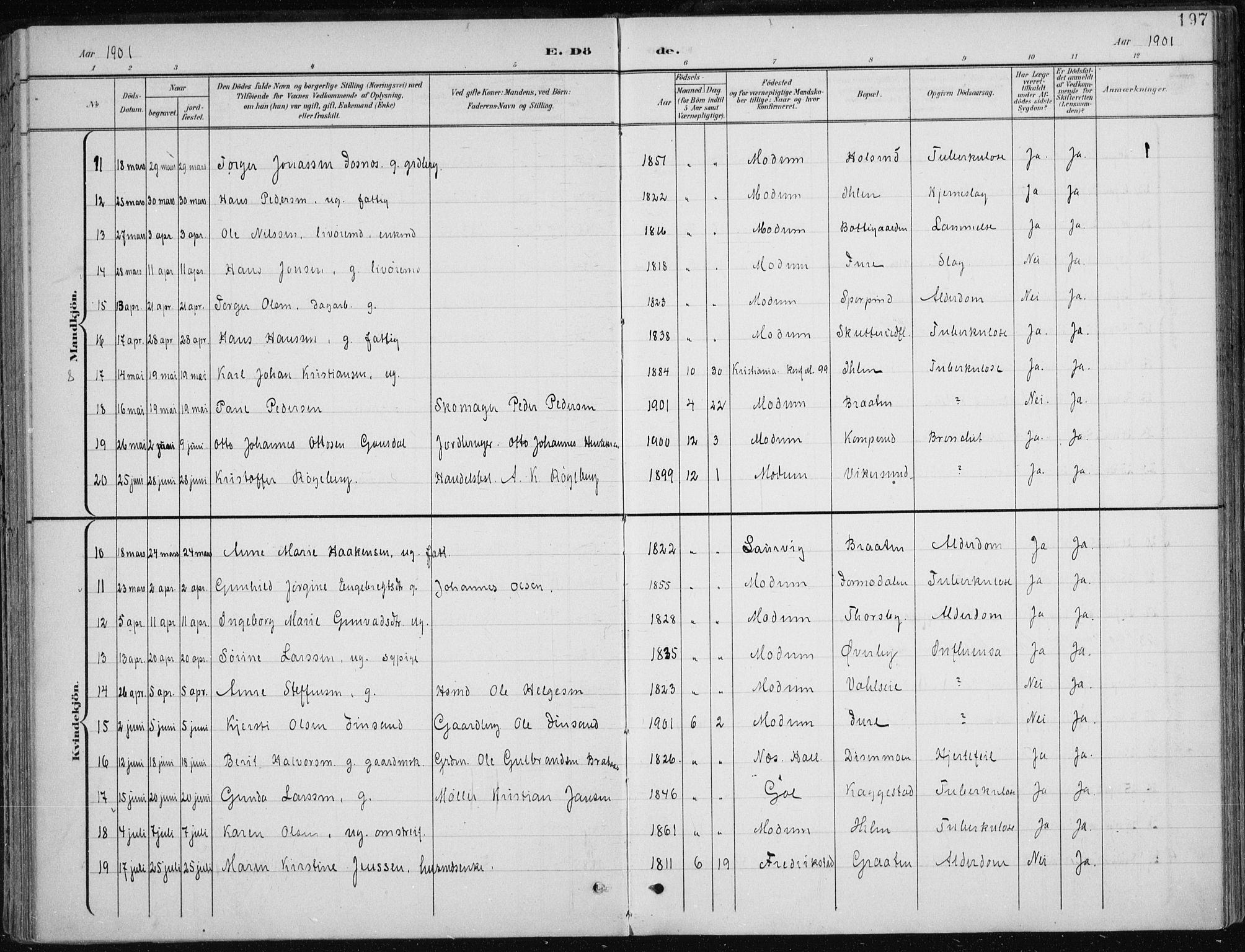 Modum kirkebøker, AV/SAKO-A-234/F/Fa/L0013: Parish register (official) no. 13, 1899-1907, p. 197