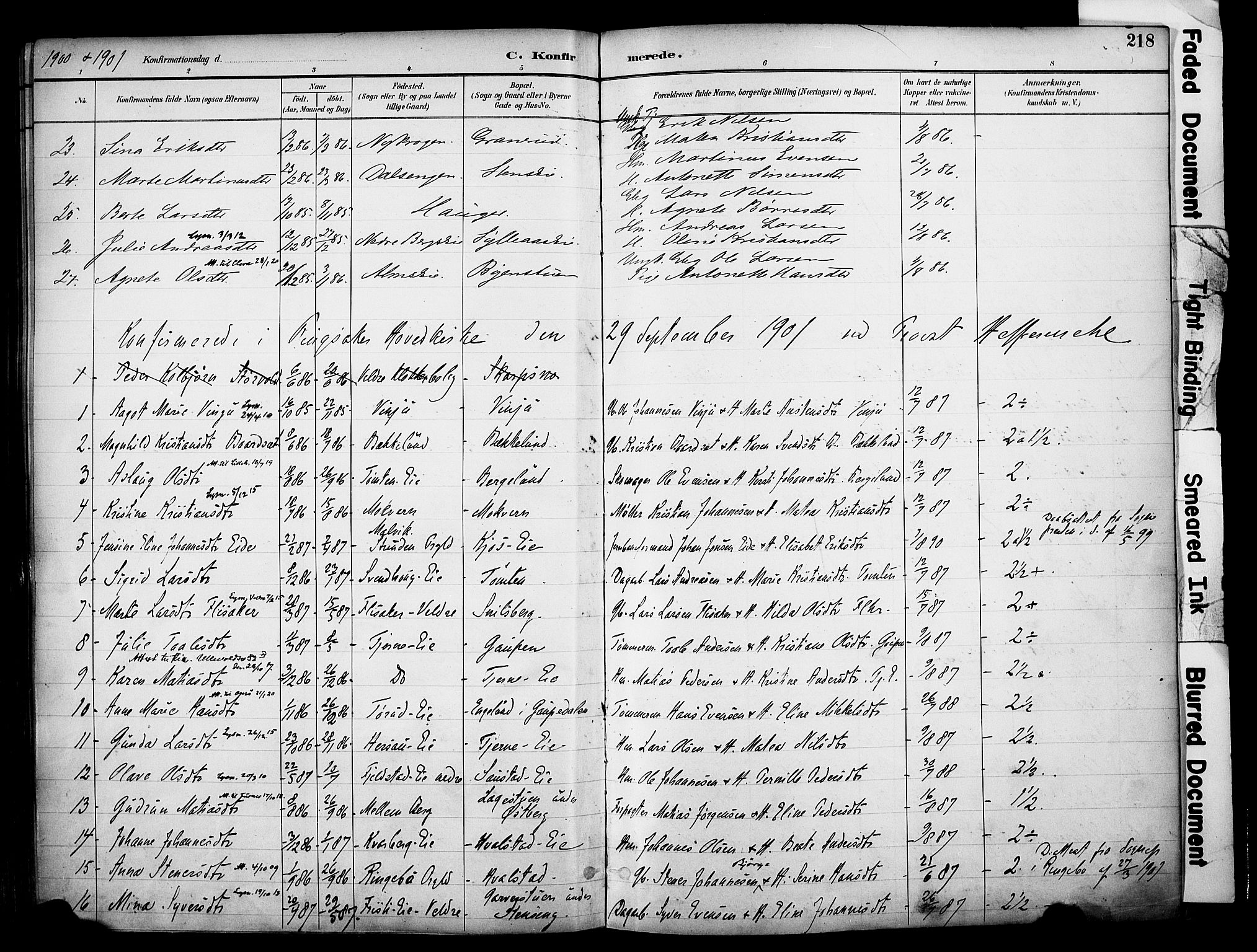 Ringsaker prestekontor, AV/SAH-PREST-014/K/Ka/L0017: Parish register (official) no. 17, 1891-1902, p. 218