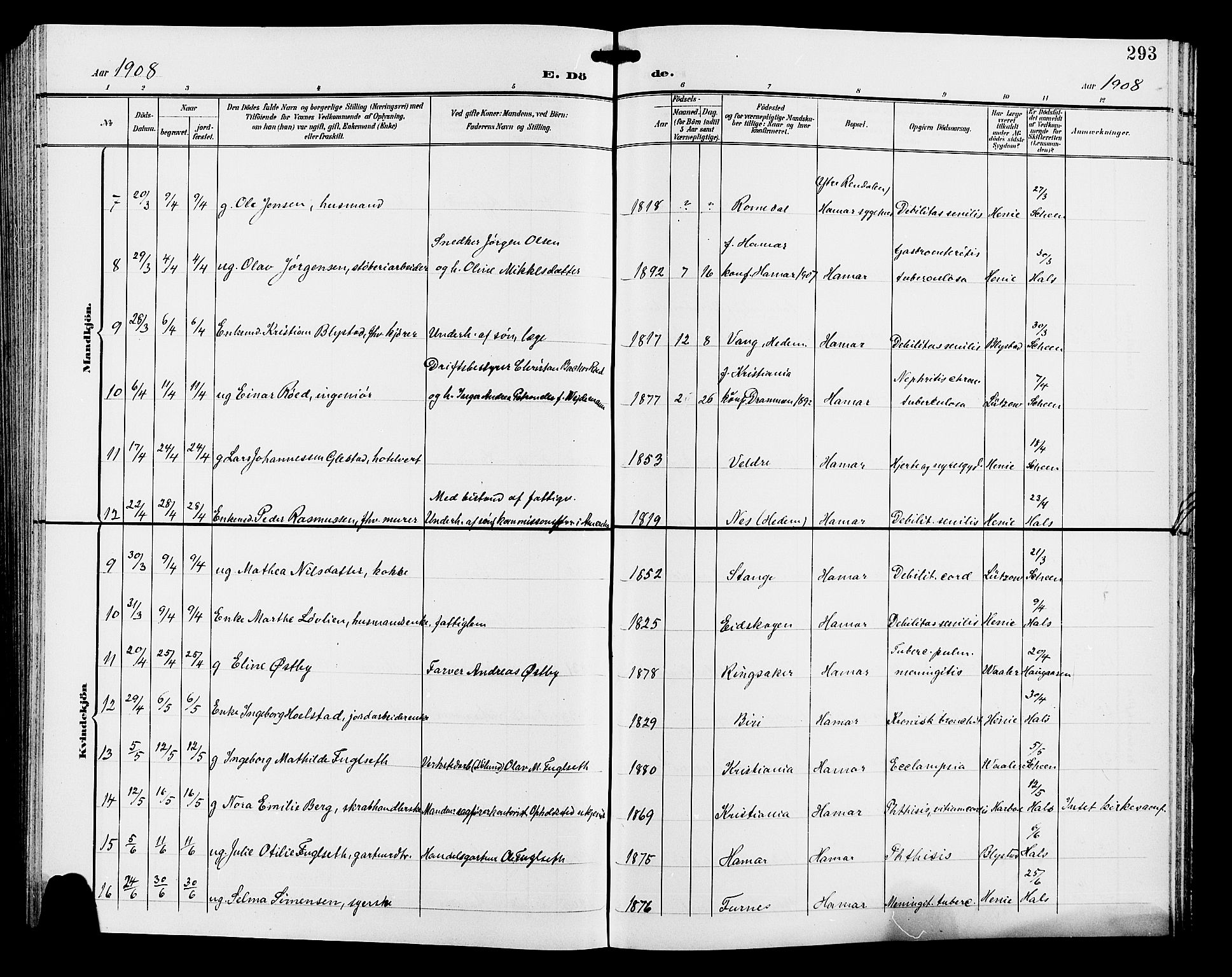 Hamar prestekontor, AV/SAH-DOMPH-002/H/Ha/Hab/L0001: Parish register (copy) no. 1, 1899-1914, p. 293