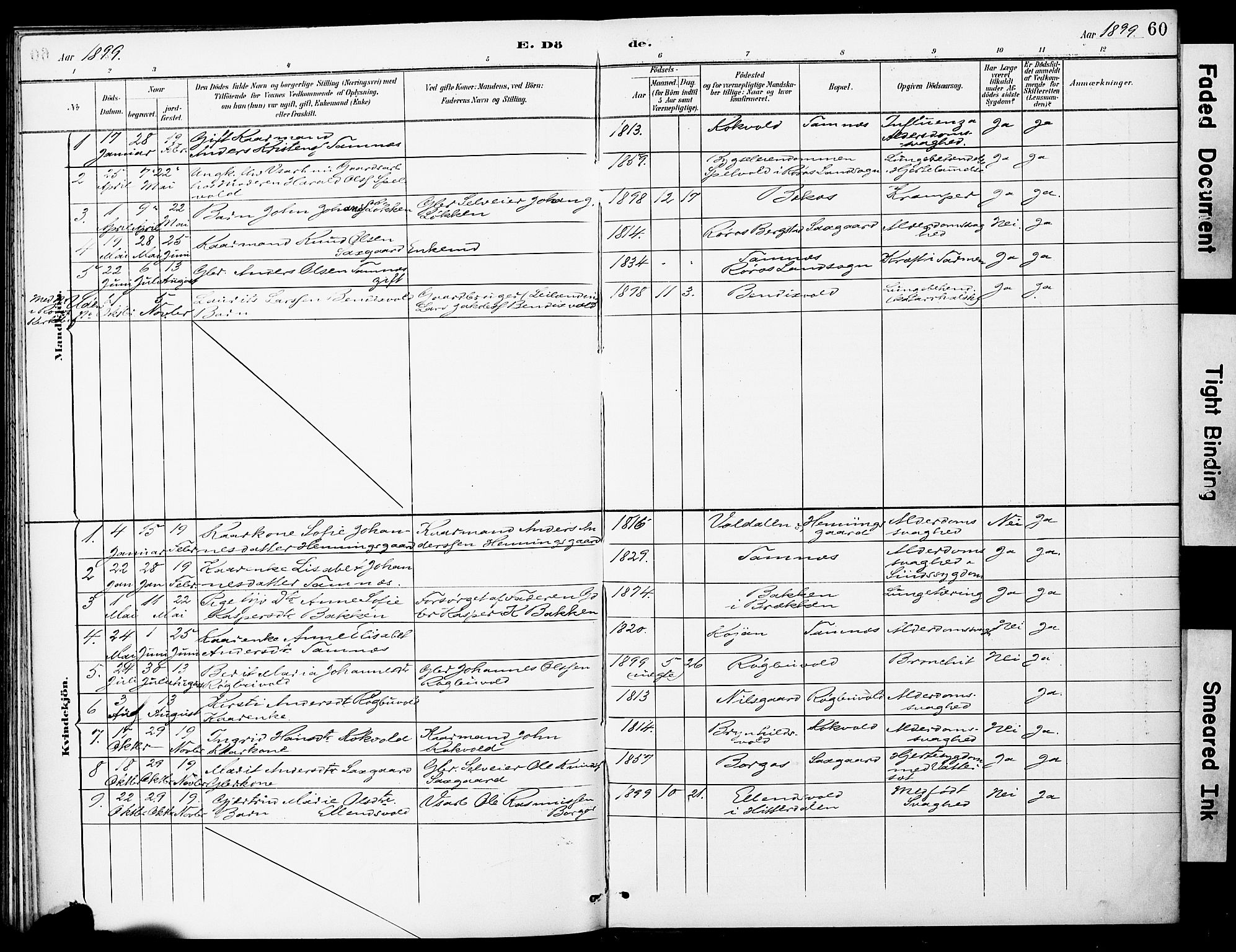 Ministerialprotokoller, klokkerbøker og fødselsregistre - Sør-Trøndelag, SAT/A-1456/683/L0948: Parish register (official) no. 683A01, 1891-1902, p. 60
