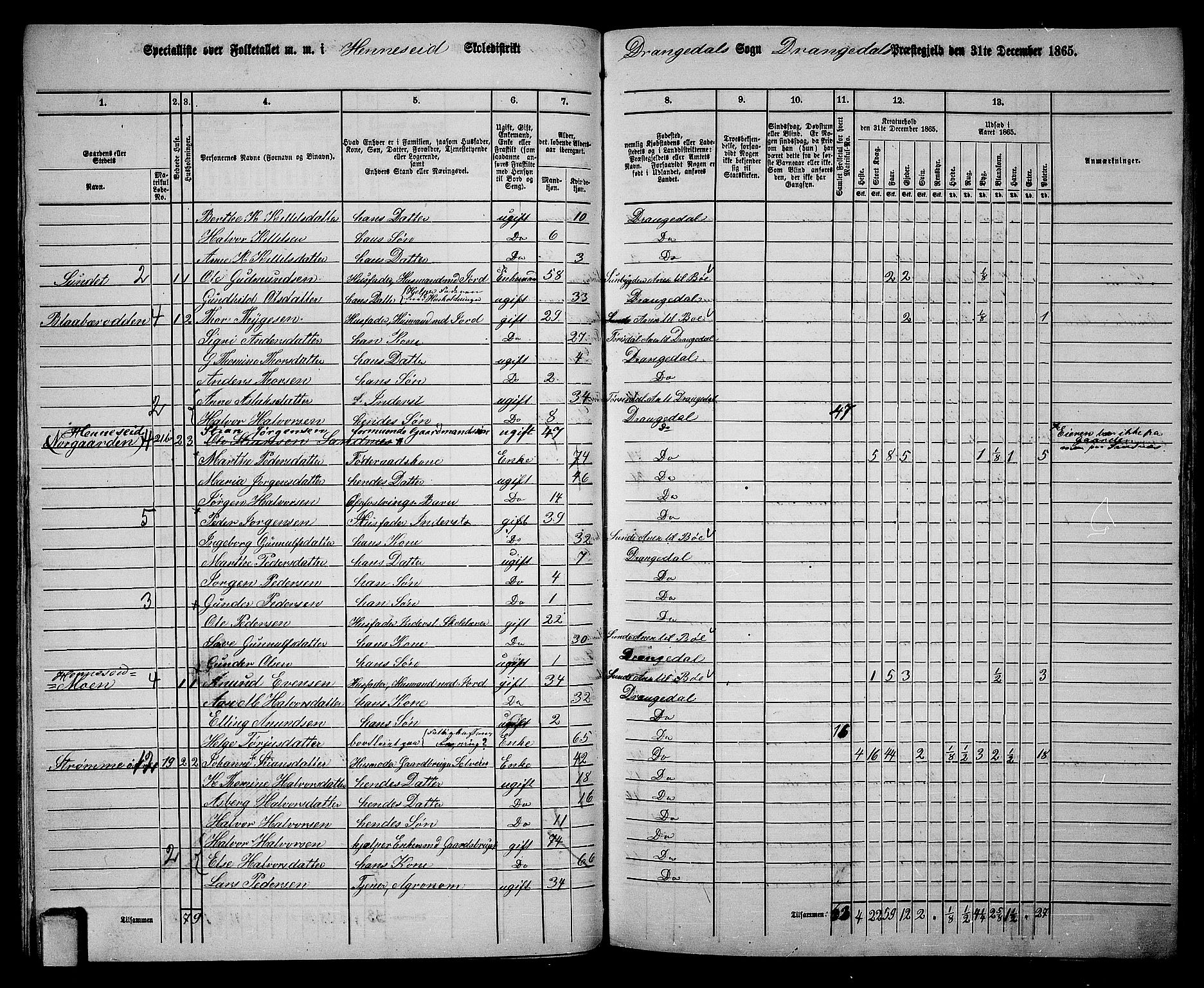 RA, 1865 census for Drangedal, 1865, p. 44