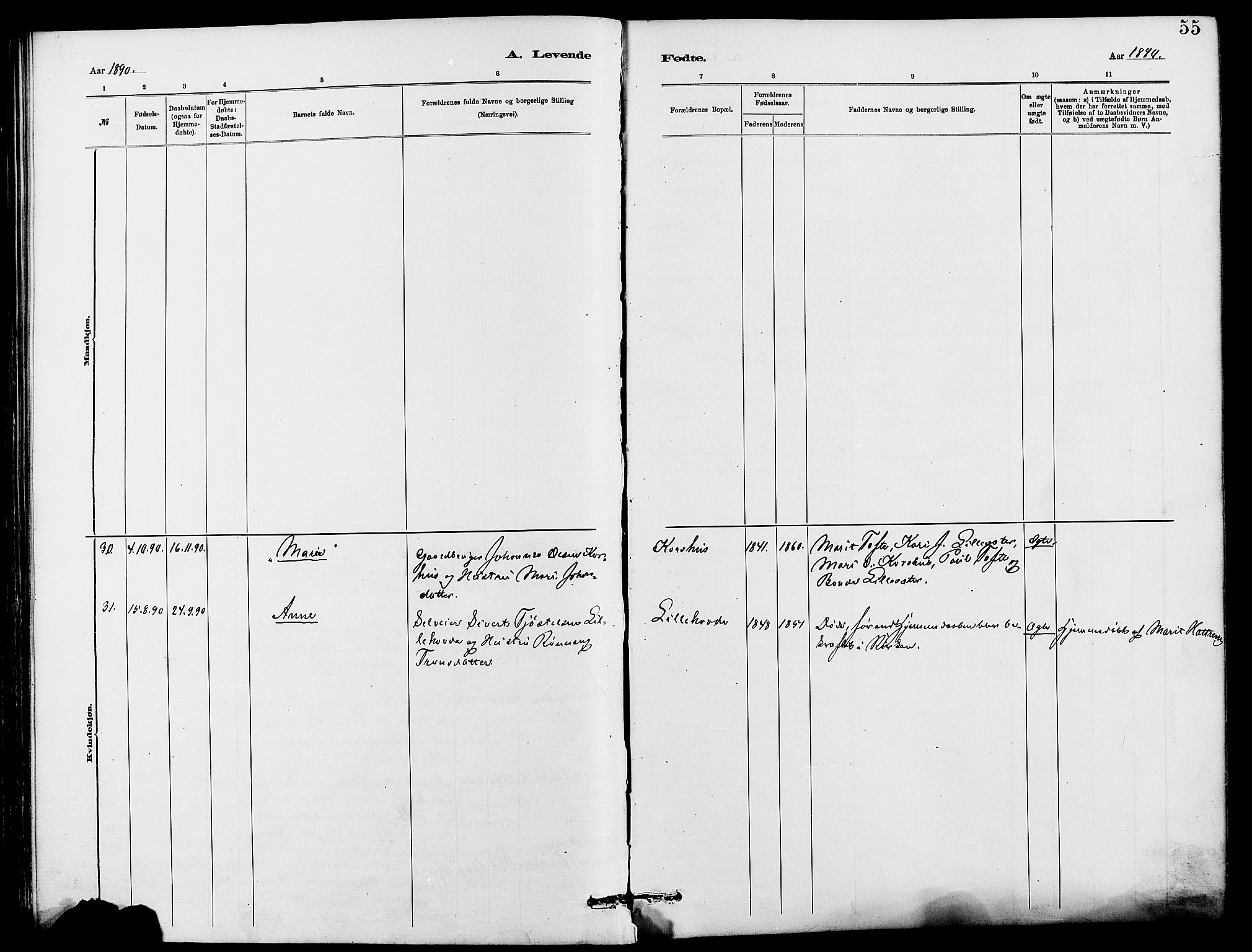 Dovre prestekontor, SAH/PREST-066/H/Ha/Hab/L0002: Parish register (copy) no. 2, 1881-1907, p. 55