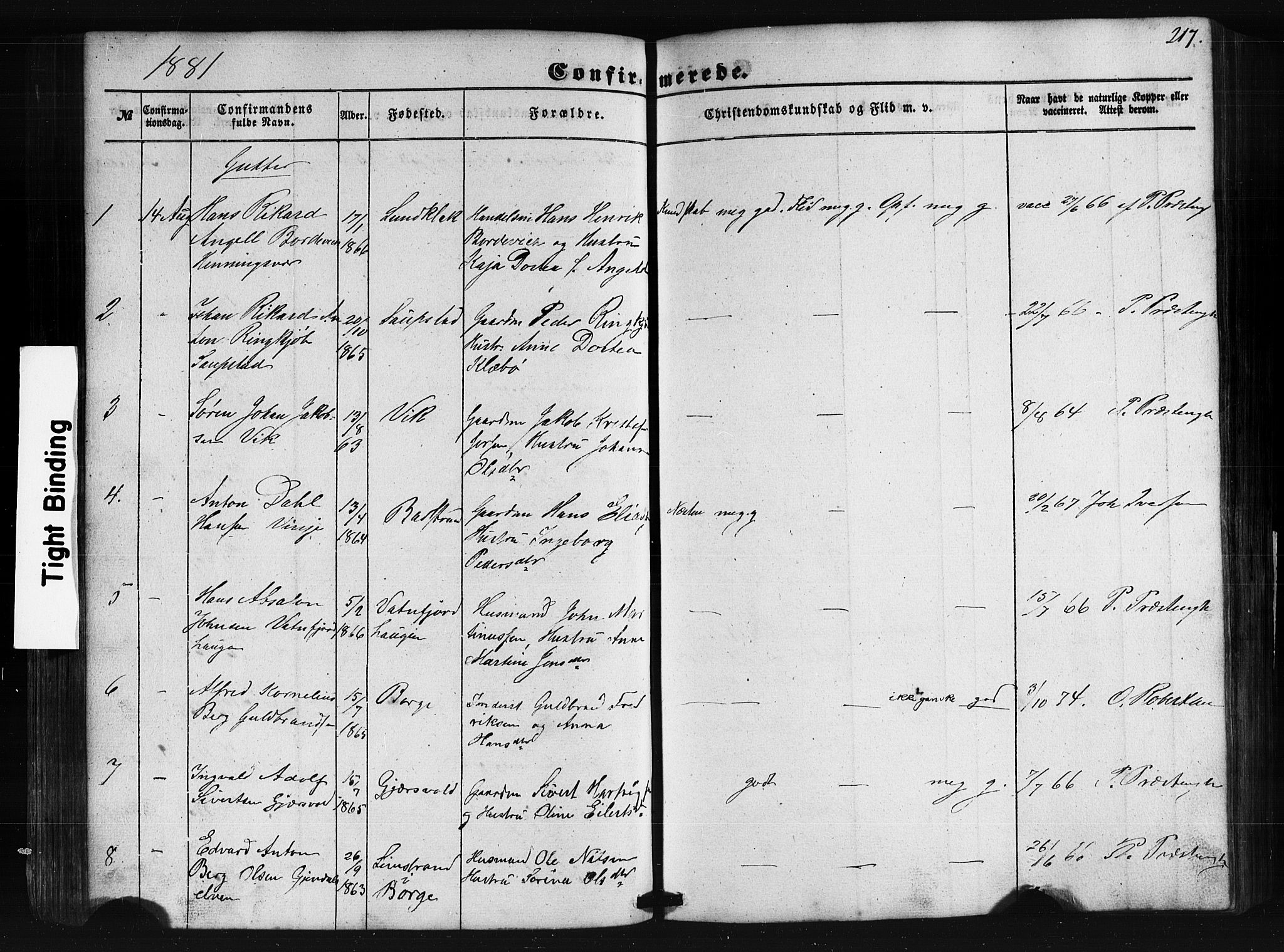 Ministerialprotokoller, klokkerbøker og fødselsregistre - Nordland, AV/SAT-A-1459/876/L1095: Parish register (official) no. 876A01, 1863-1885, p. 217