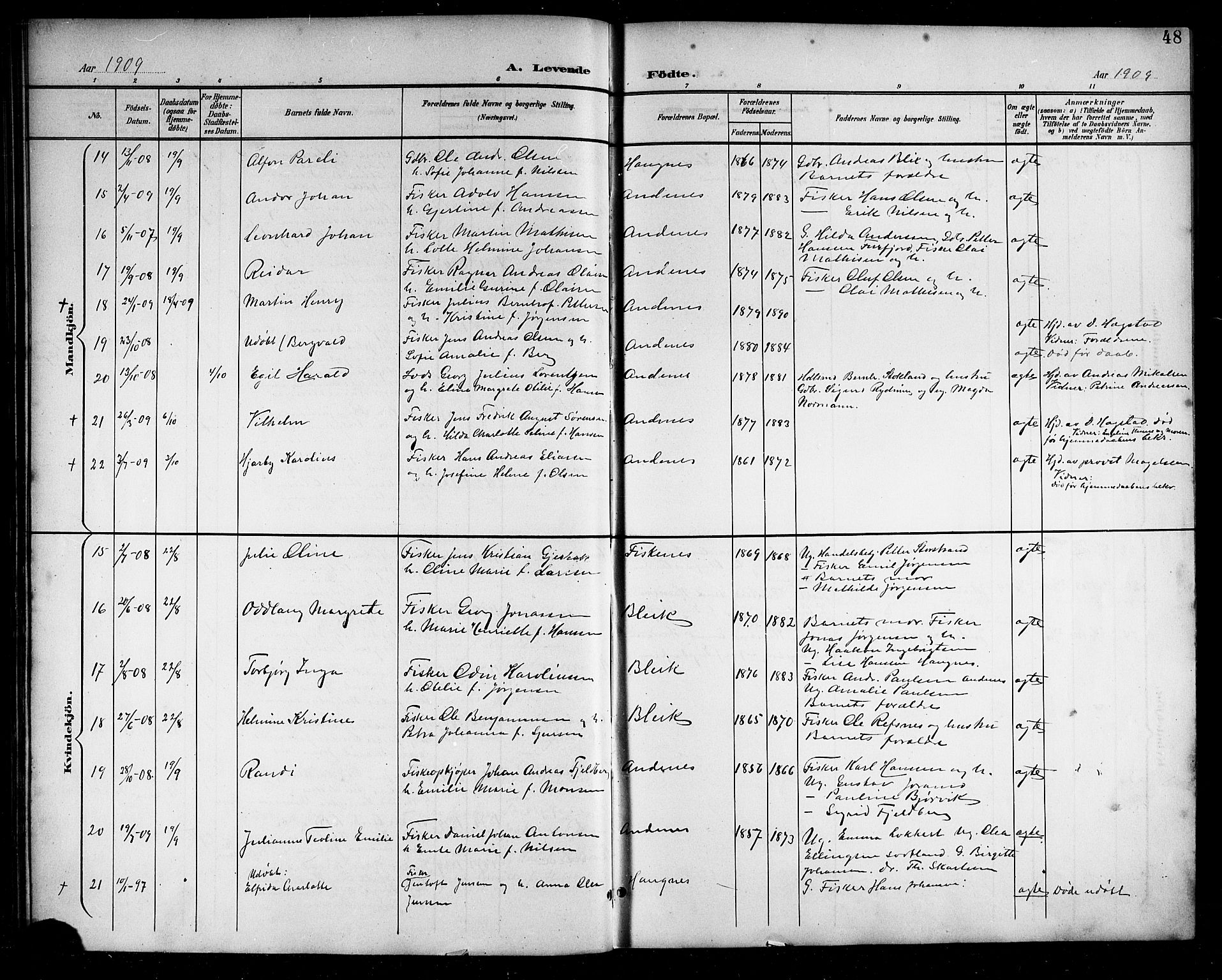 Ministerialprotokoller, klokkerbøker og fødselsregistre - Nordland, AV/SAT-A-1459/899/L1449: Parish register (copy) no. 899C04, 1900-1918, p. 48