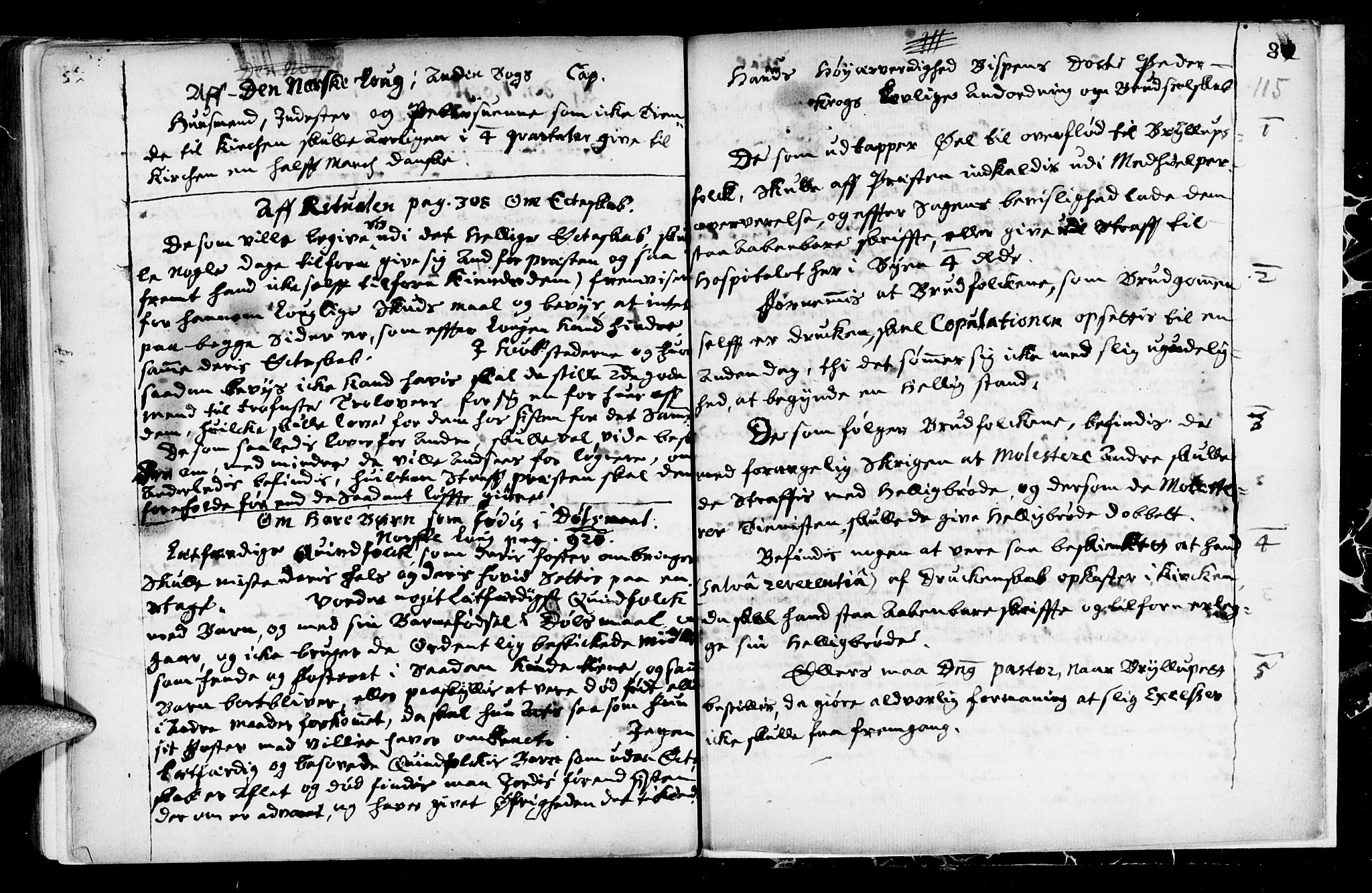 Ministerialprotokoller, klokkerbøker og fødselsregistre - Sør-Trøndelag, SAT/A-1456/689/L1036: Parish register (official) no. 689A01, 1696-1746, p. 115