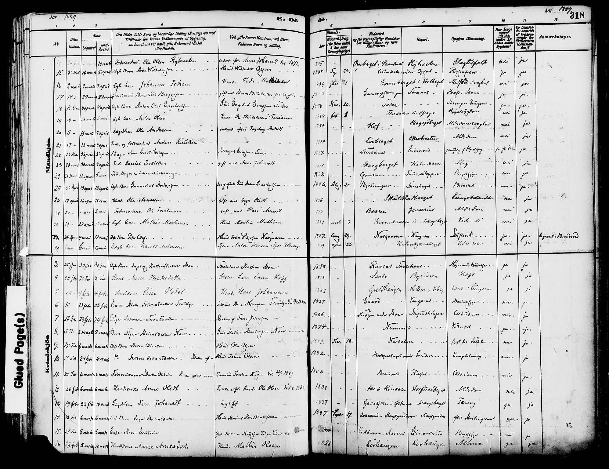 Grue prestekontor, AV/SAH-PREST-036/H/Ha/Haa/L0012: Parish register (official) no. 12, 1881-1897, p. 318