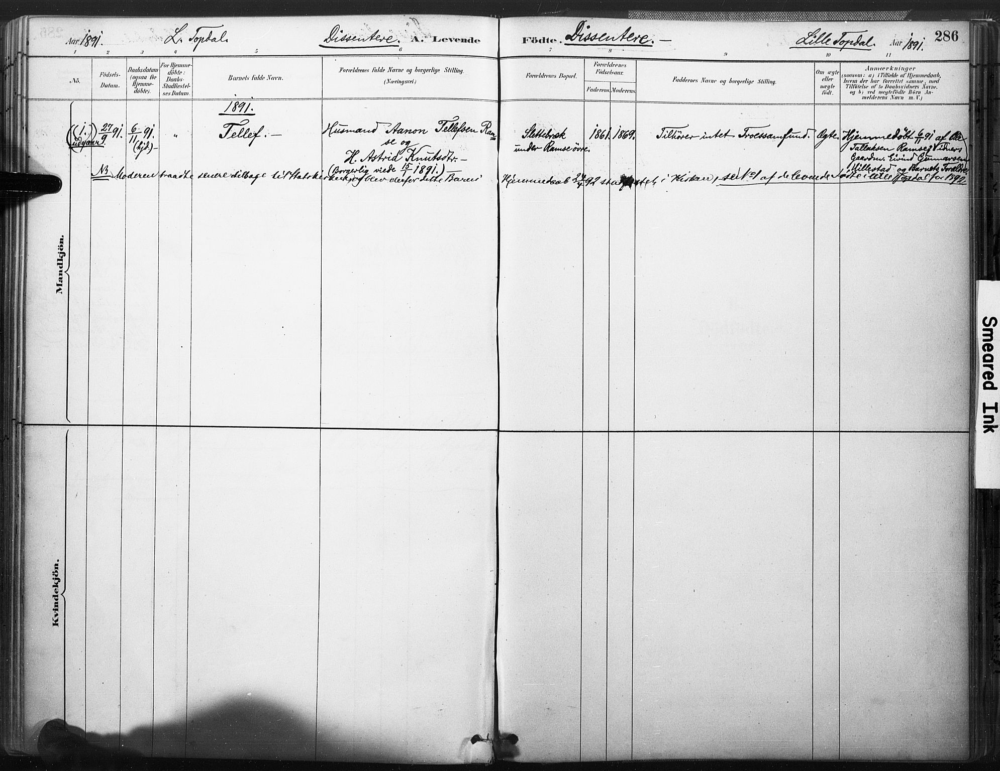 Åmli sokneprestkontor, SAK/1111-0050/F/Fa/Fac/L0010: Parish register (official) no. A 10 /3, 1885-1899, p. 286