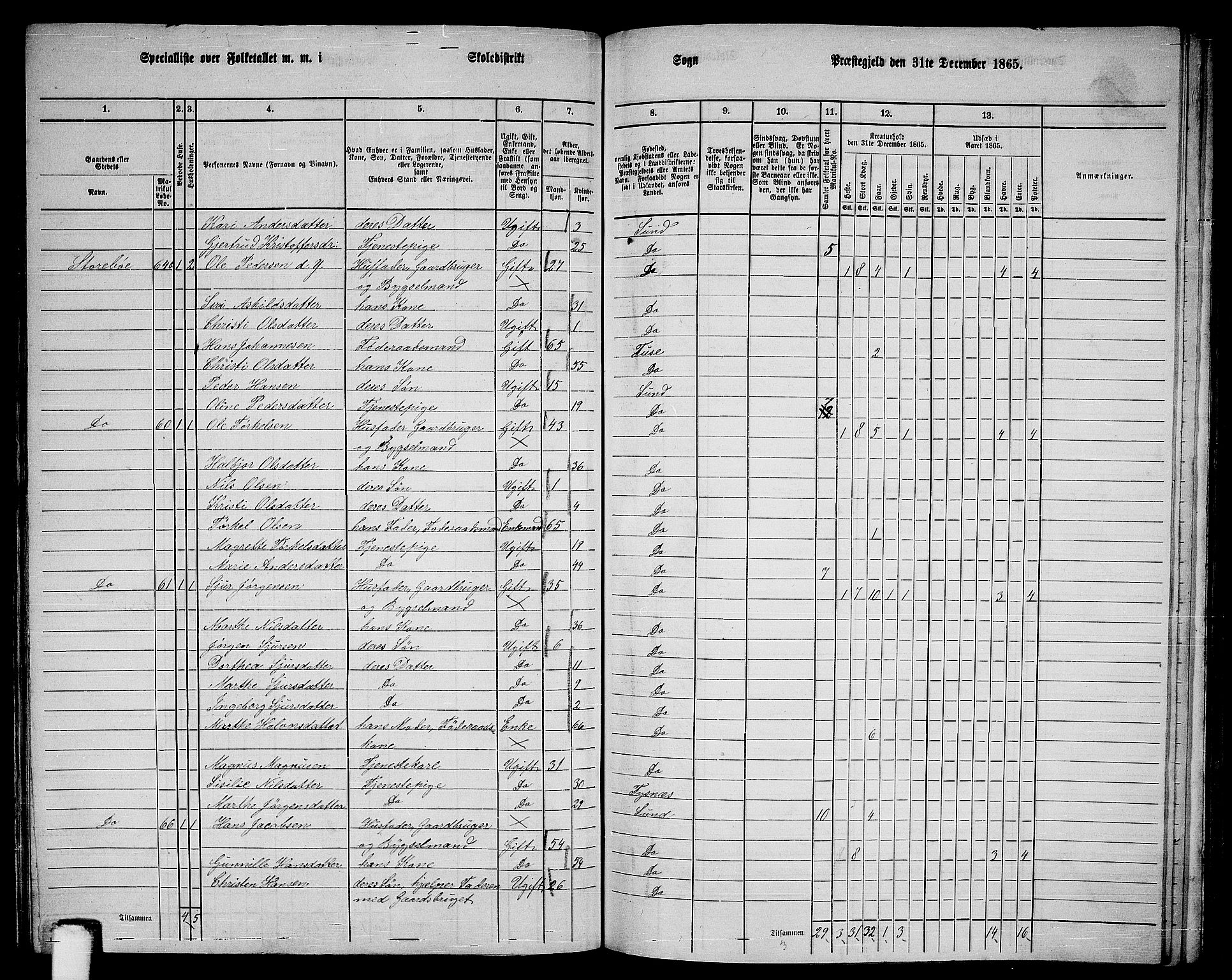 RA, 1865 census for Sund, 1865, p. 118